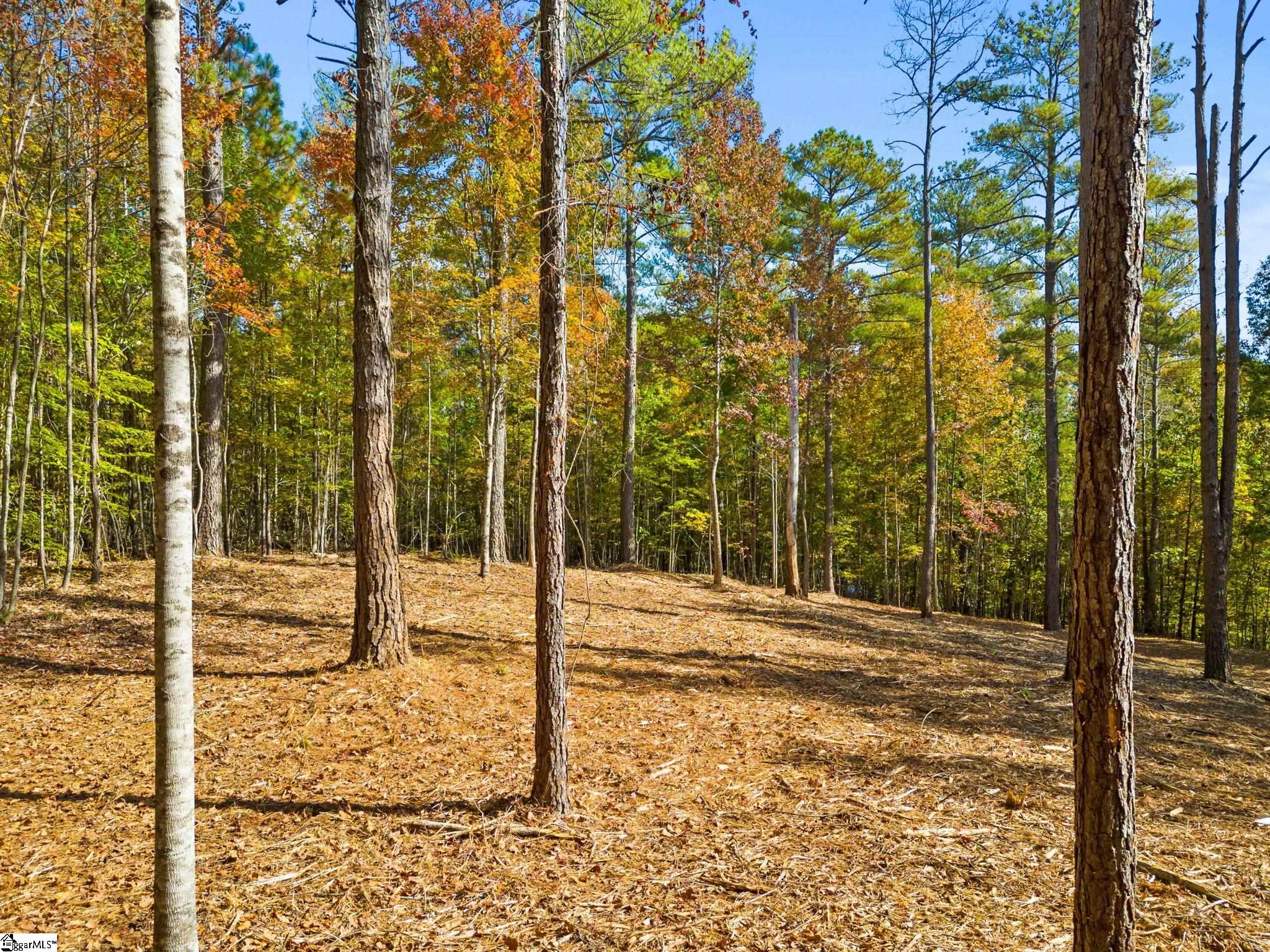 Nimmons Bridge Road Salem, SC 29676