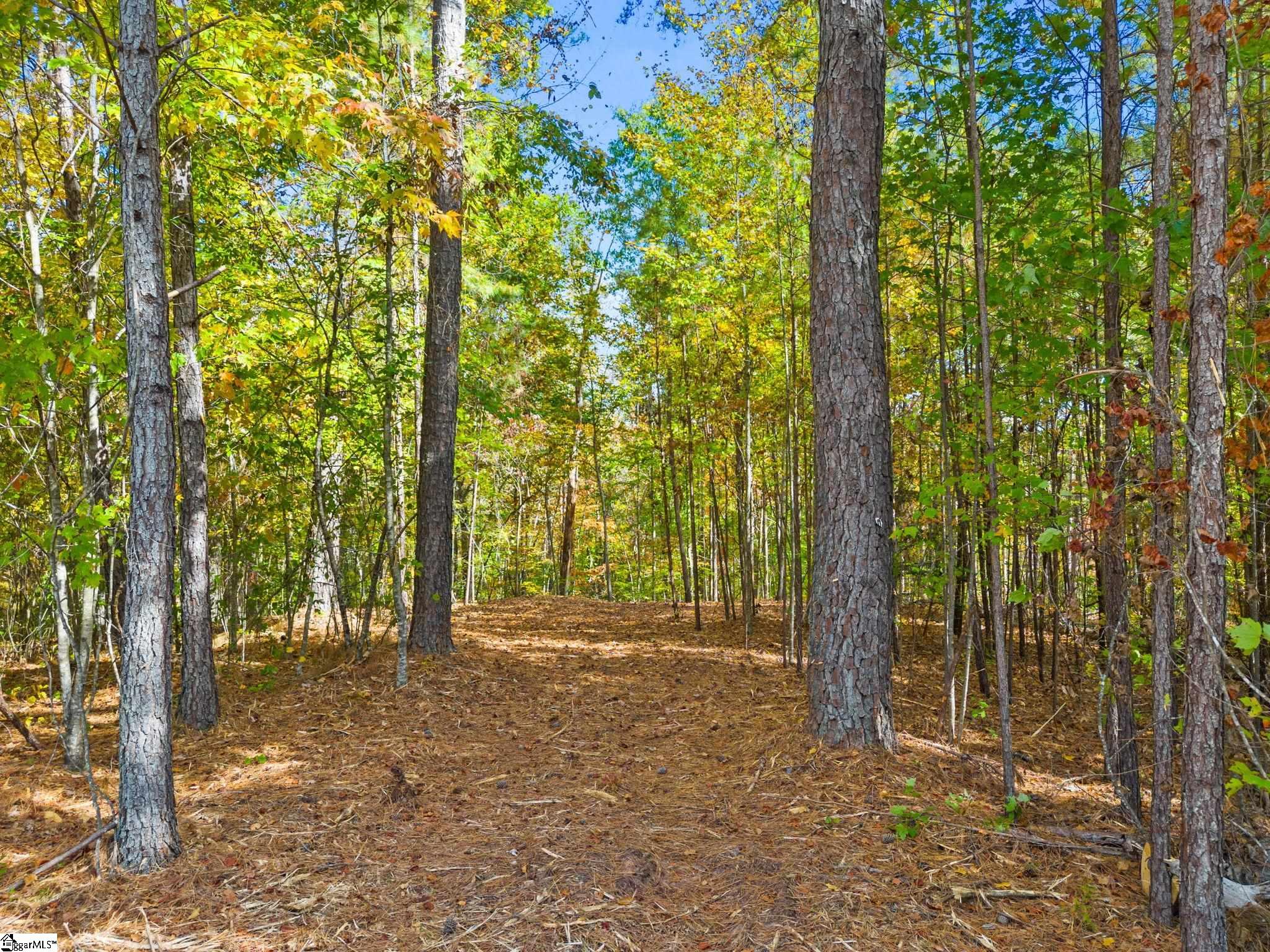 Nimmons Bridge Road Salem, SC 29676