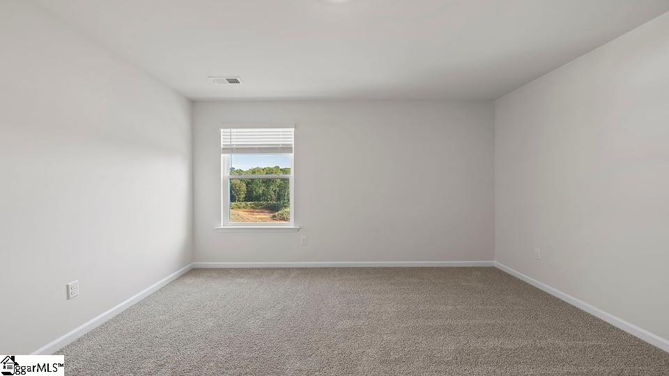 1030 Roleson Way Woodruff, SC 29388