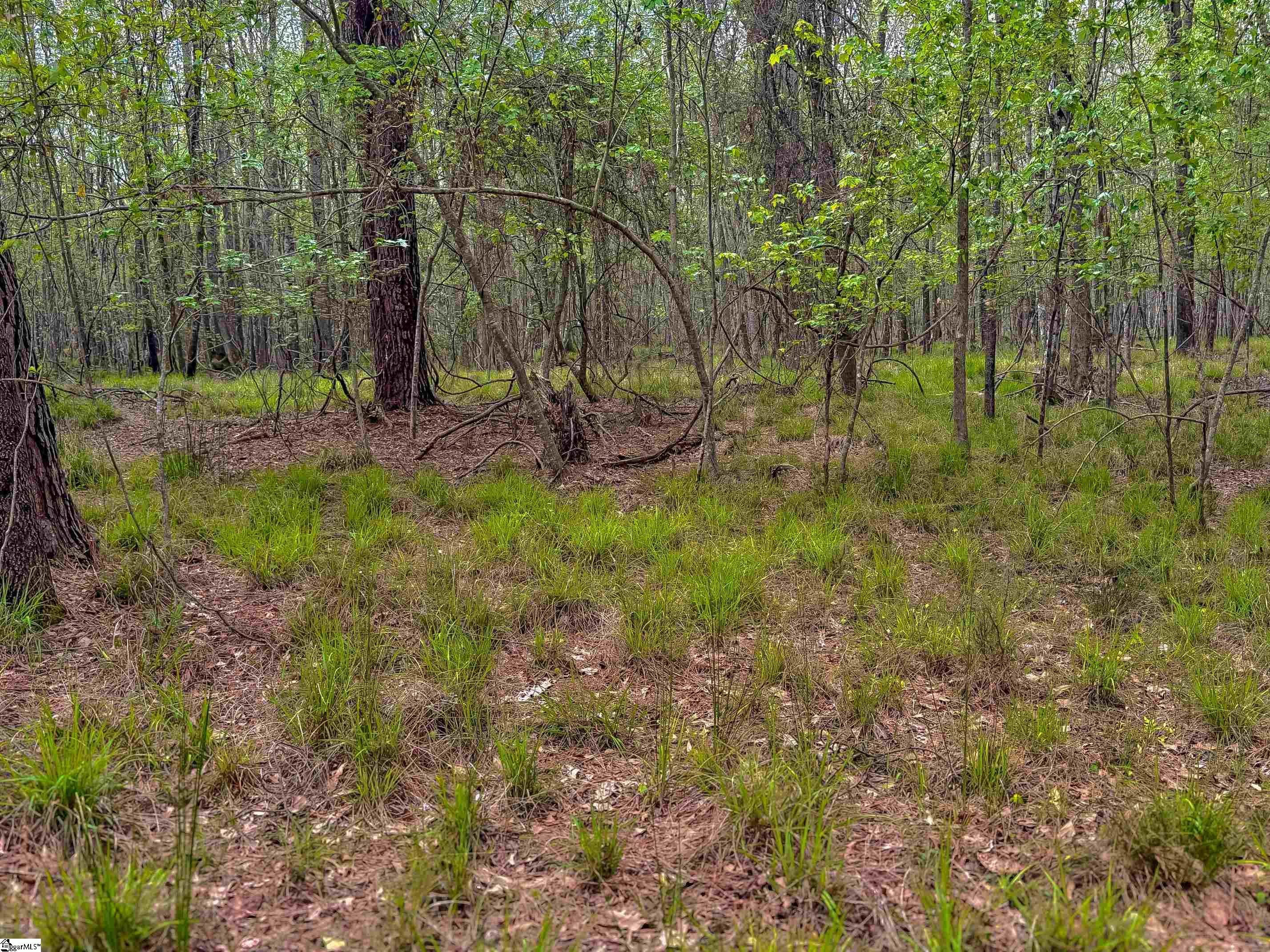 Lowcountry Drive Ridgeland, SC 29936