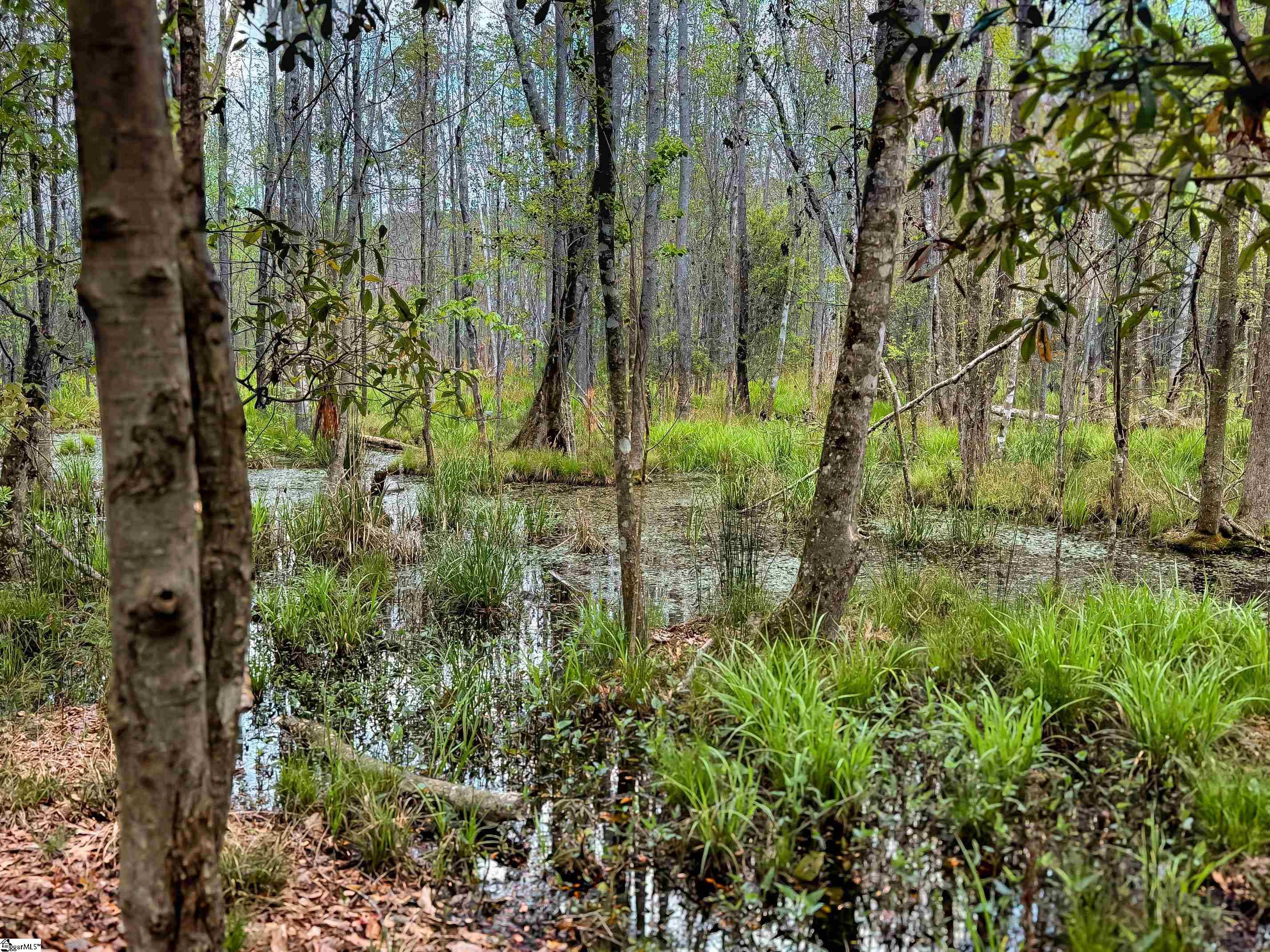 Lowcountry Drive Ridgeland, SC 29936