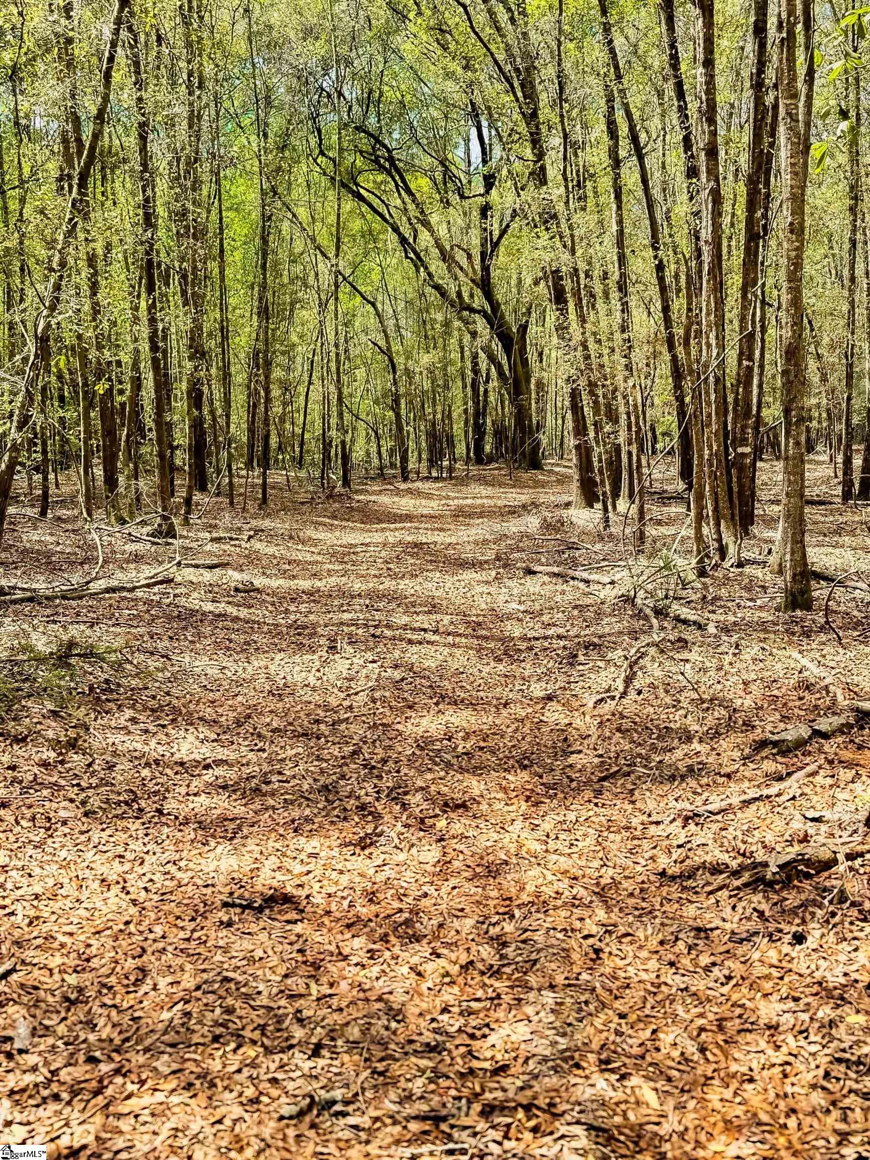 Lowcountry Drive Ridgeland, SC 29936