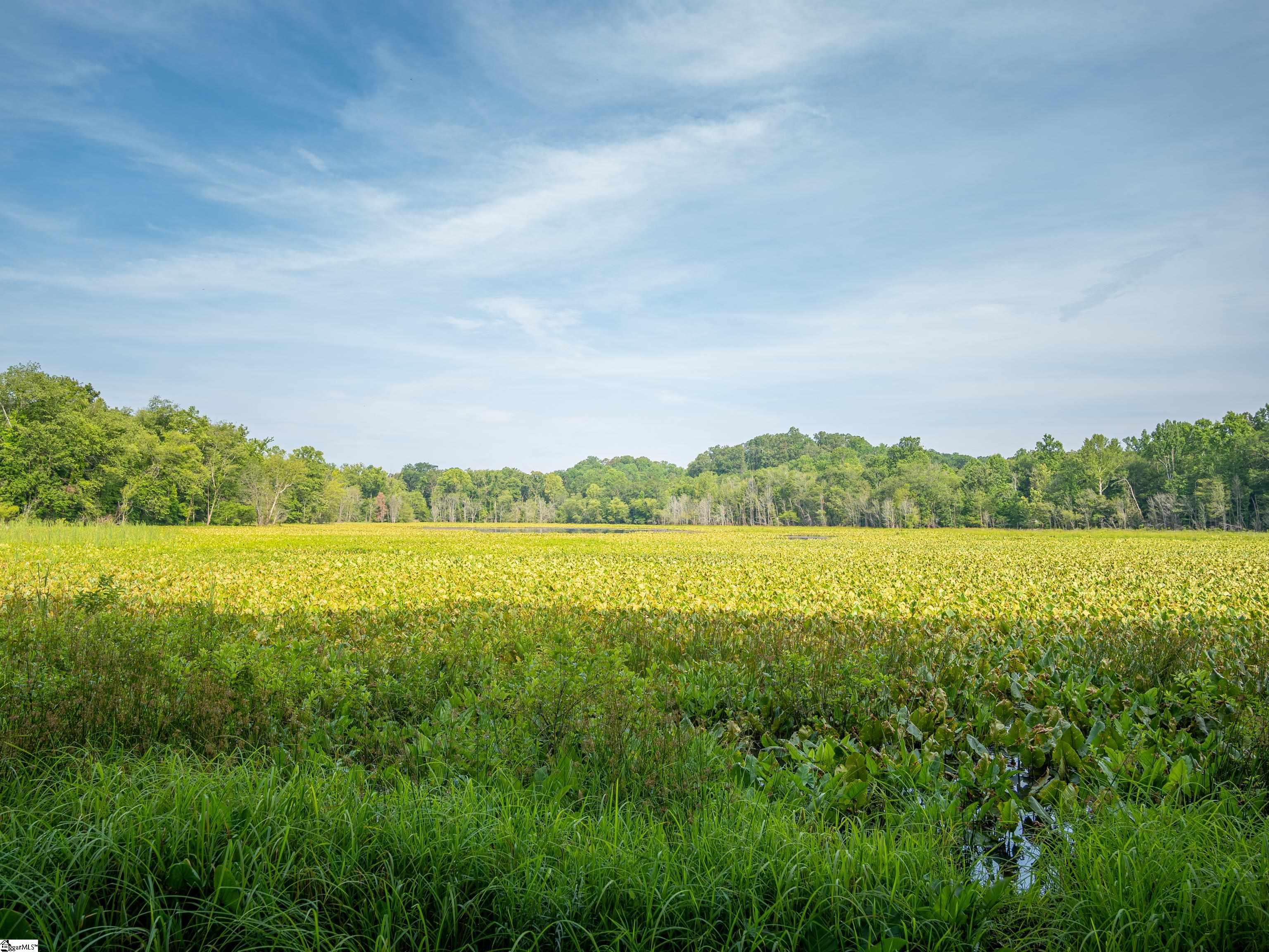0000 Rutledge Lake Road Greenville, SC 29617