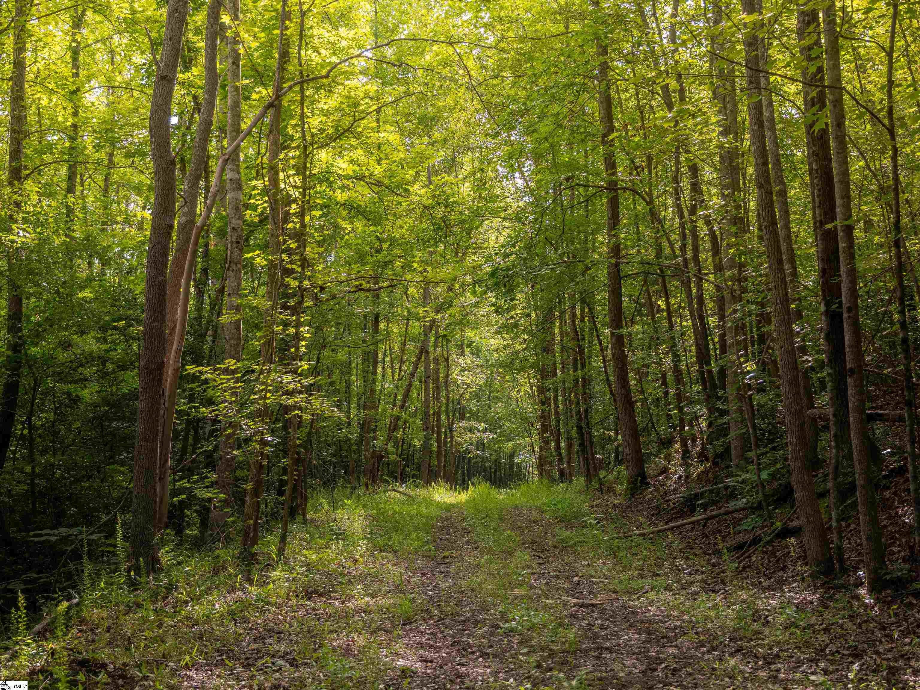 0000 Rutledge Lake Road Greenville, SC 29617