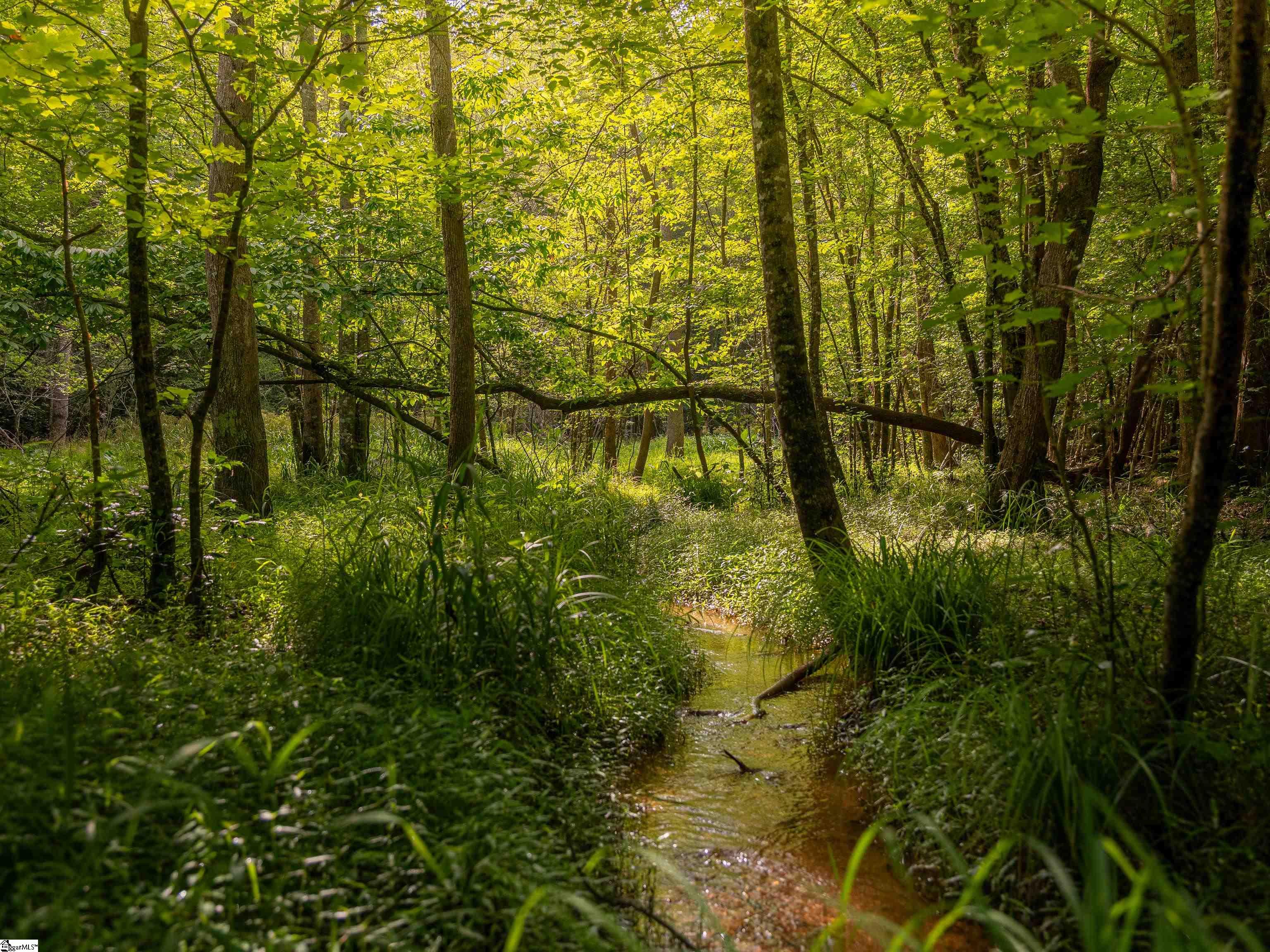 0000 Rutledge Lake Road Greenville, SC 29617