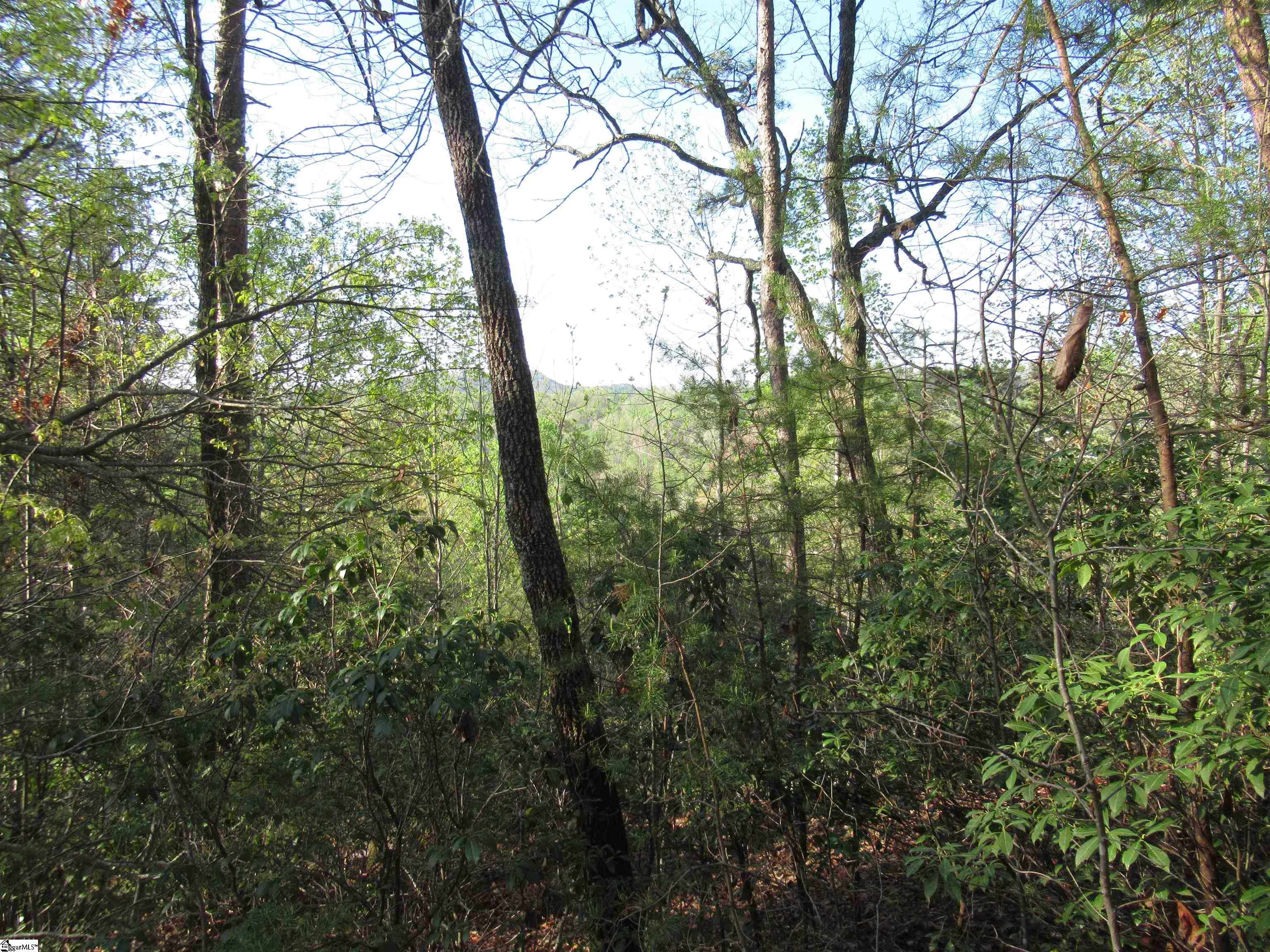 139 Whispering Falls Drive Pickens, SC 29671