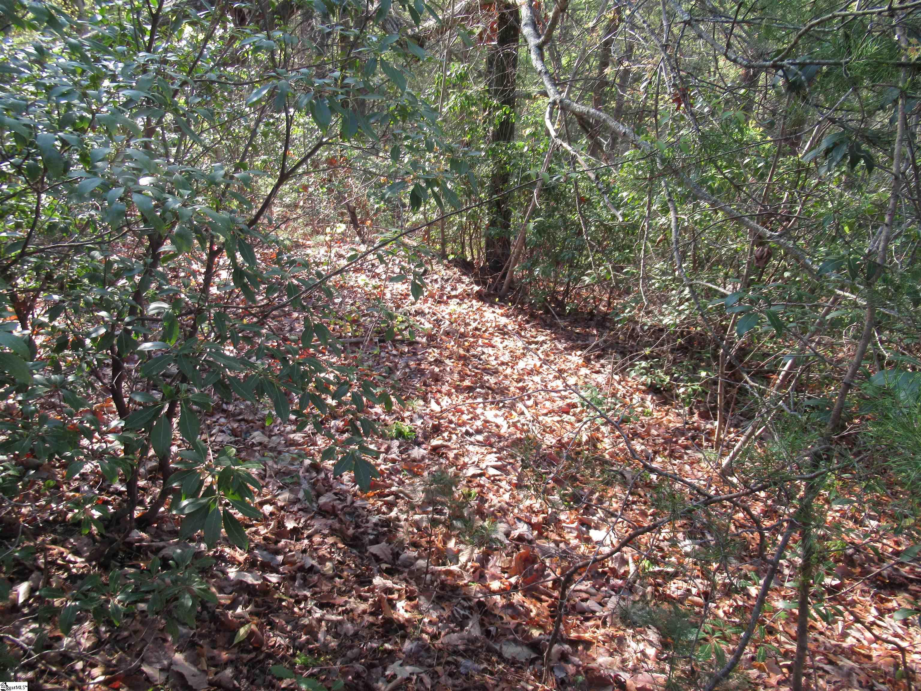 139 Whispering Falls Drive Pickens, SC 29671