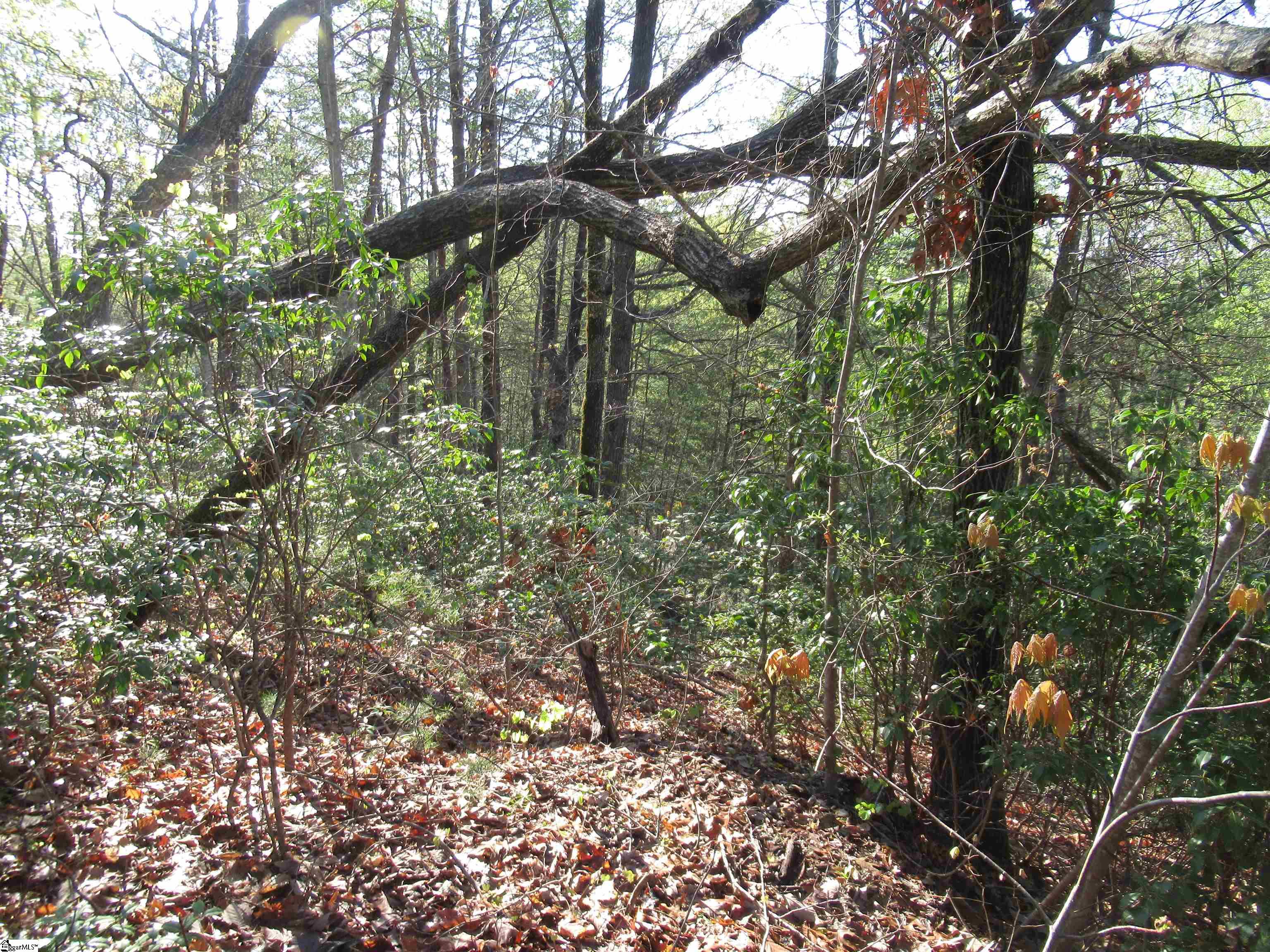139 Whispering Falls Drive Pickens, SC 29671