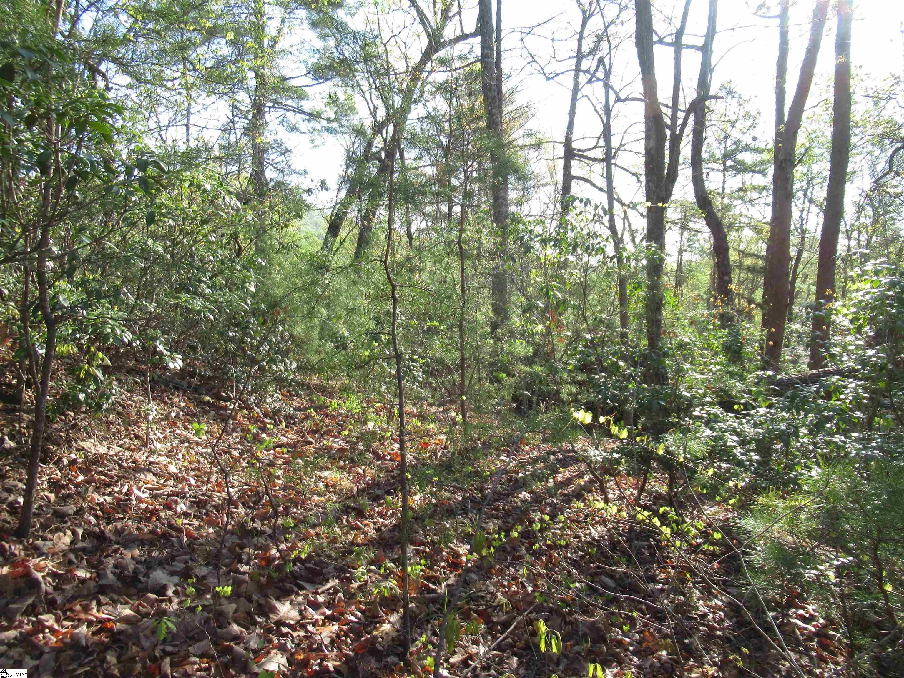 139 Whispering Falls Drive Pickens, SC 29671