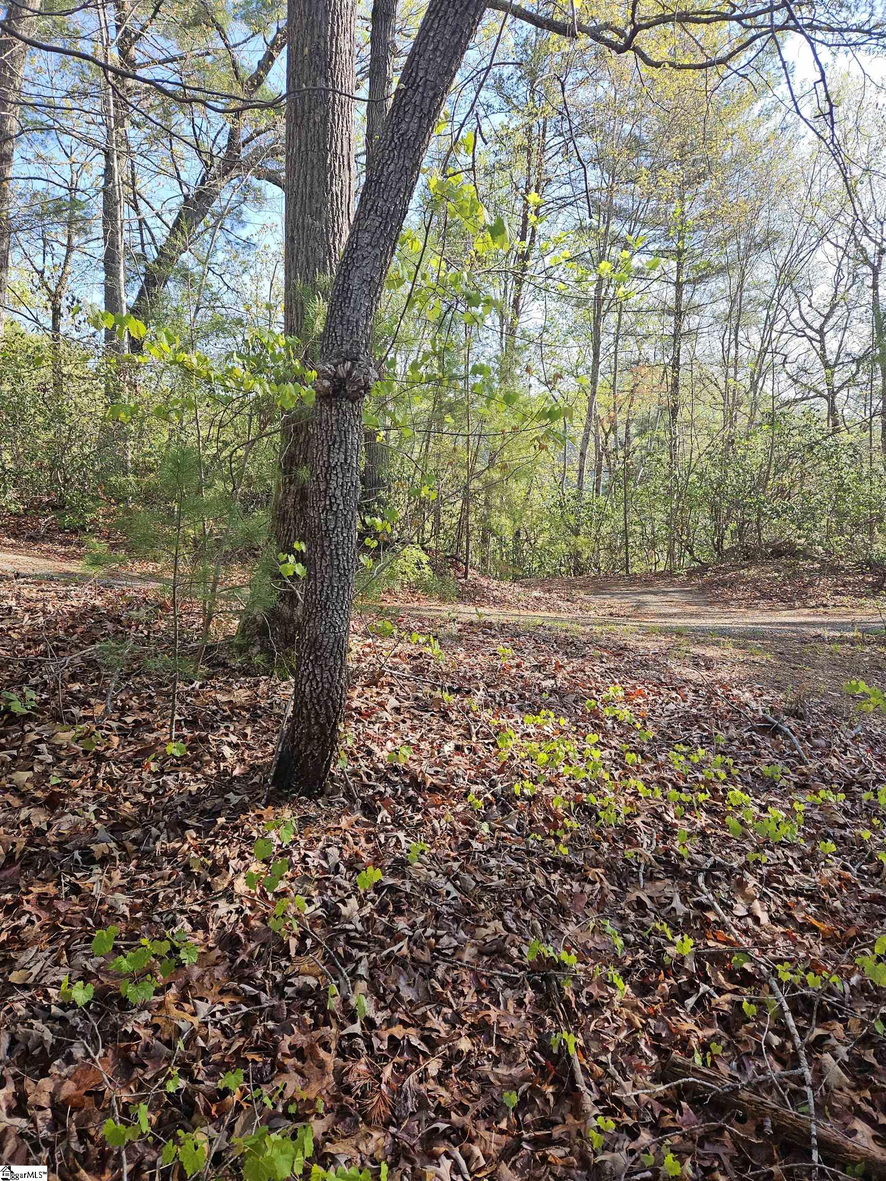 139 Whispering Falls Drive Pickens, SC 29671
