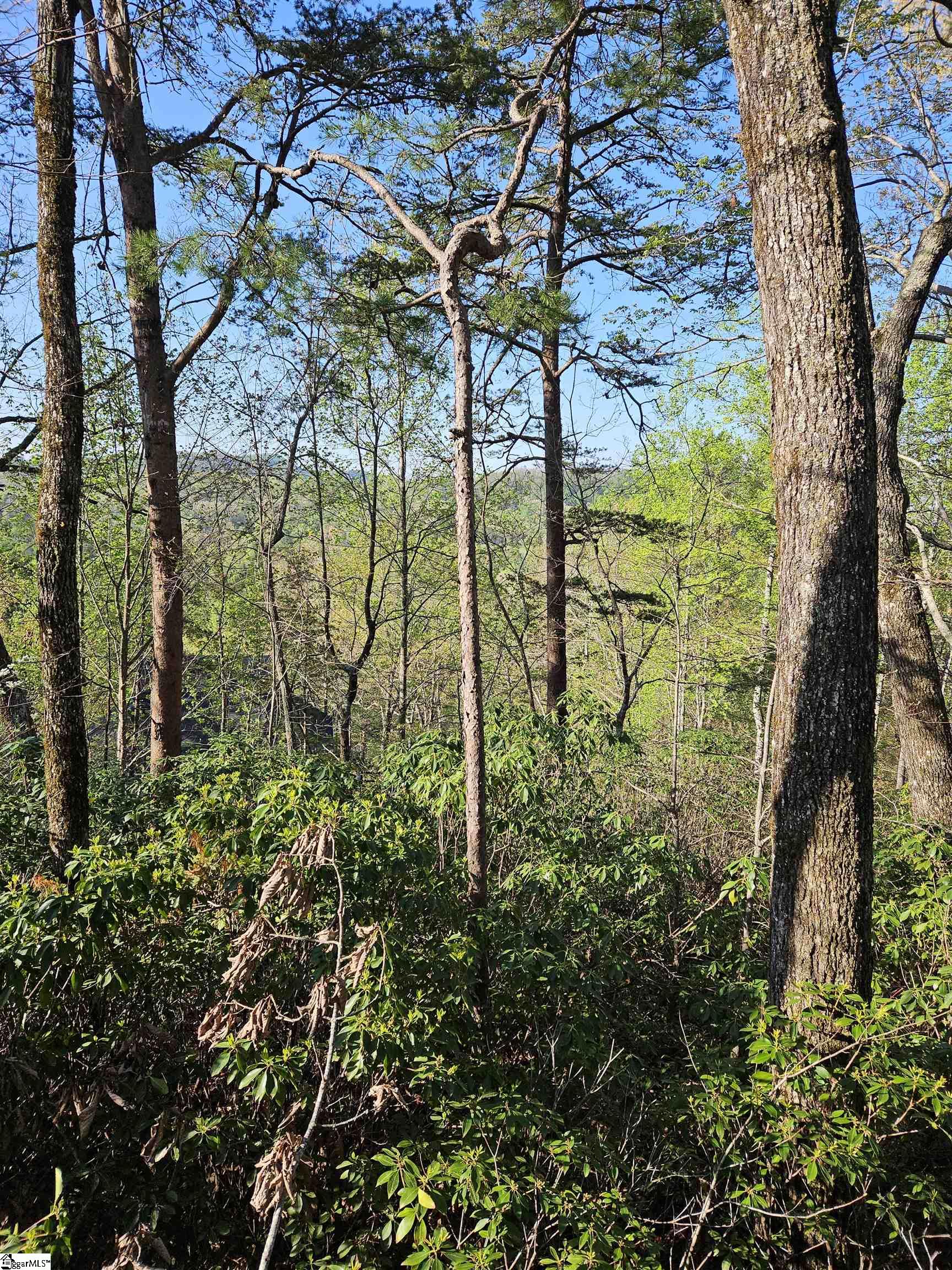 139 Whispering Falls Drive Pickens, SC 29671