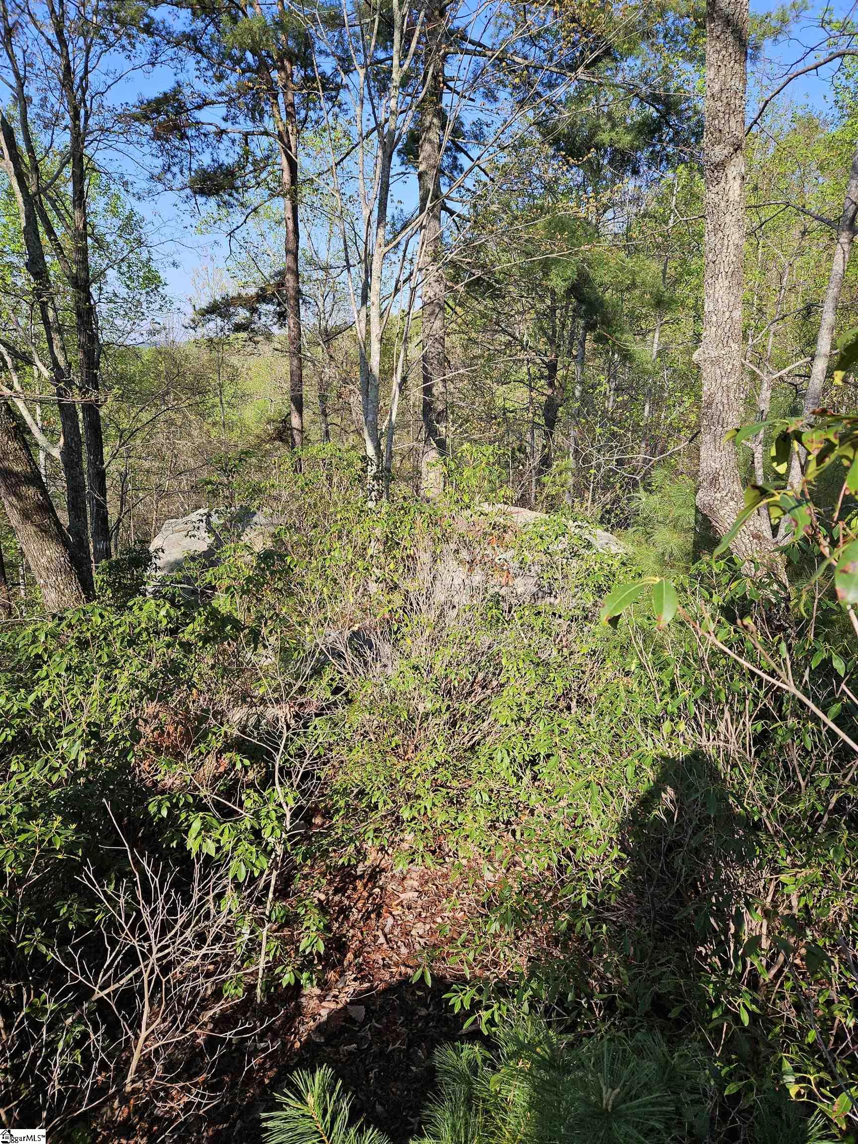 139 Whispering Falls Drive Pickens, SC 29671