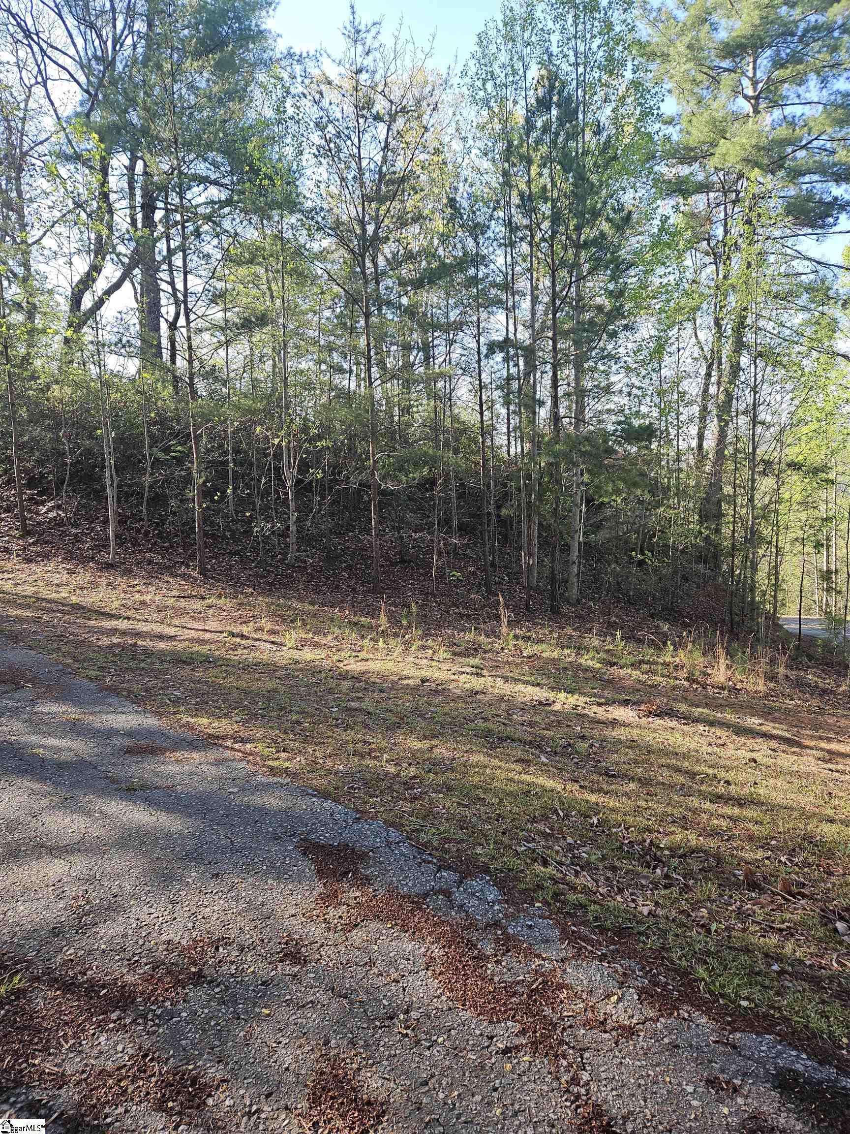 139 Whispering Falls Drive Pickens, SC 29671