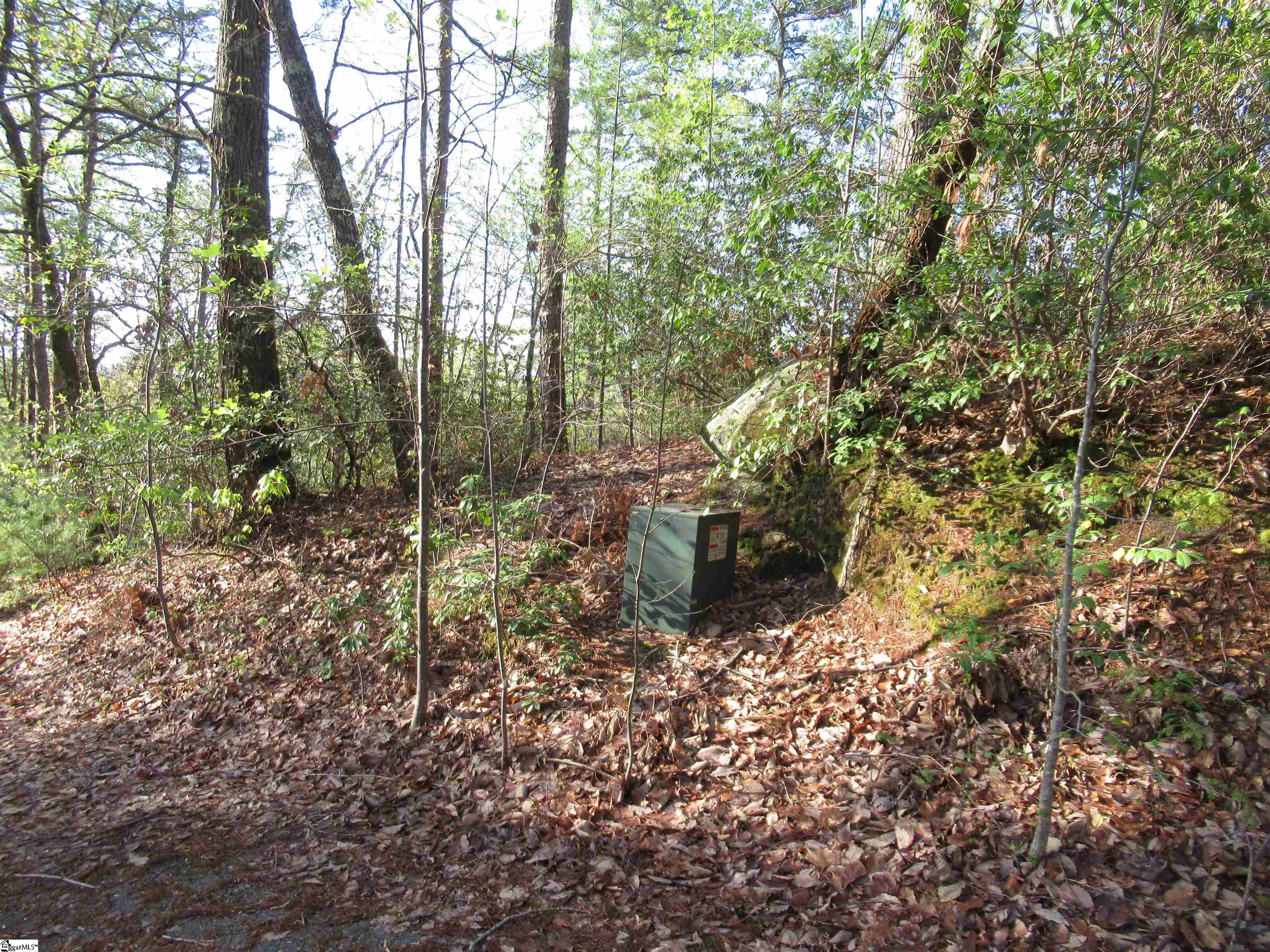 139 Whispering Falls Drive Pickens, SC 29671