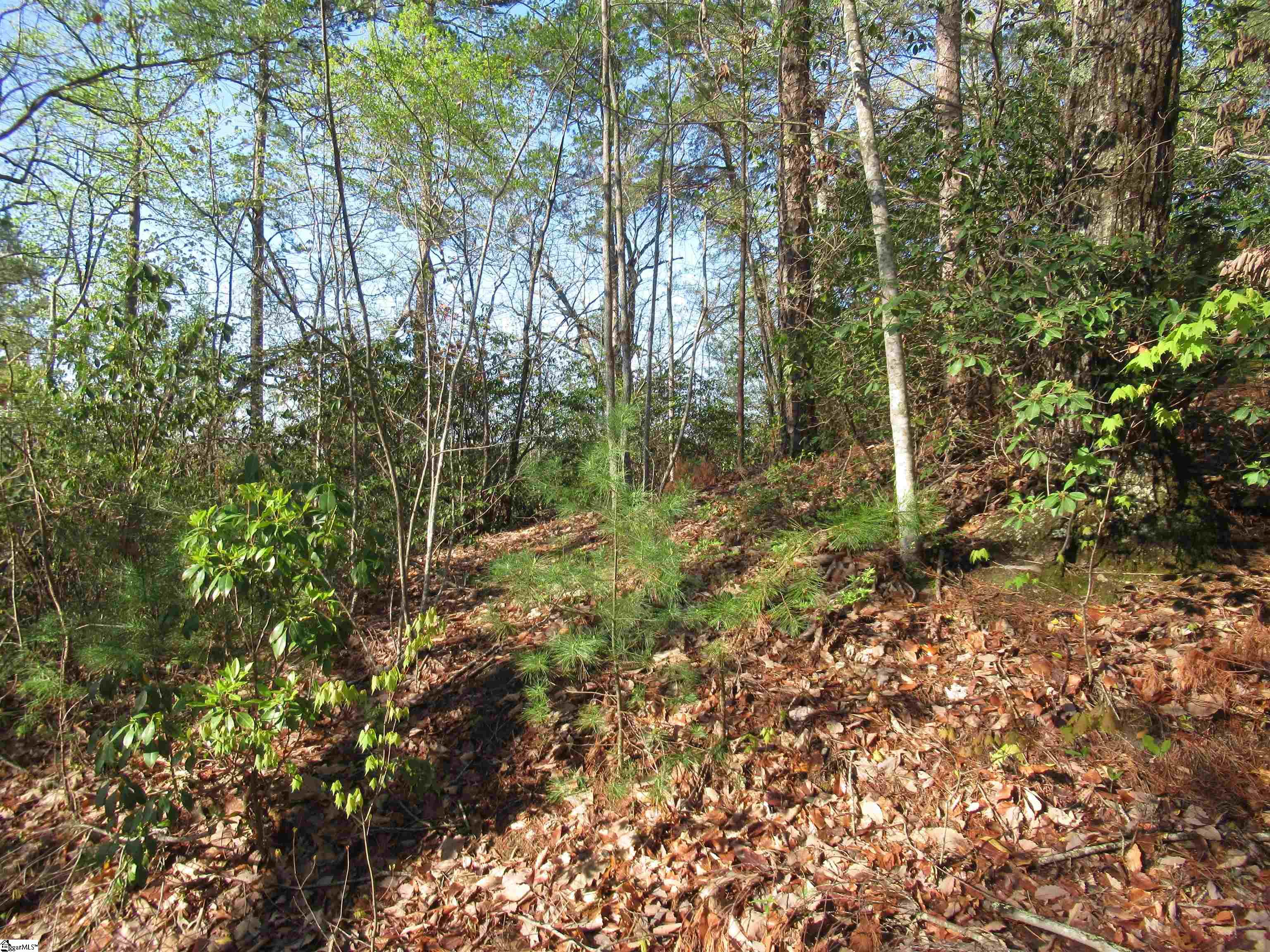 139 Whispering Falls Drive Pickens, SC 29671