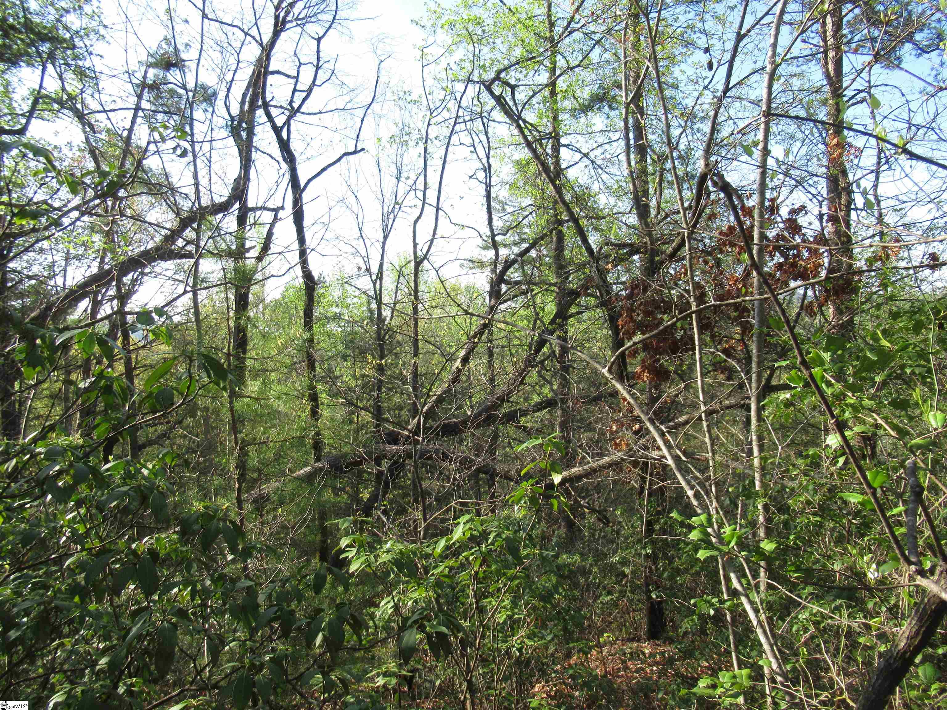 139 Whispering Falls Drive Pickens, SC 29671