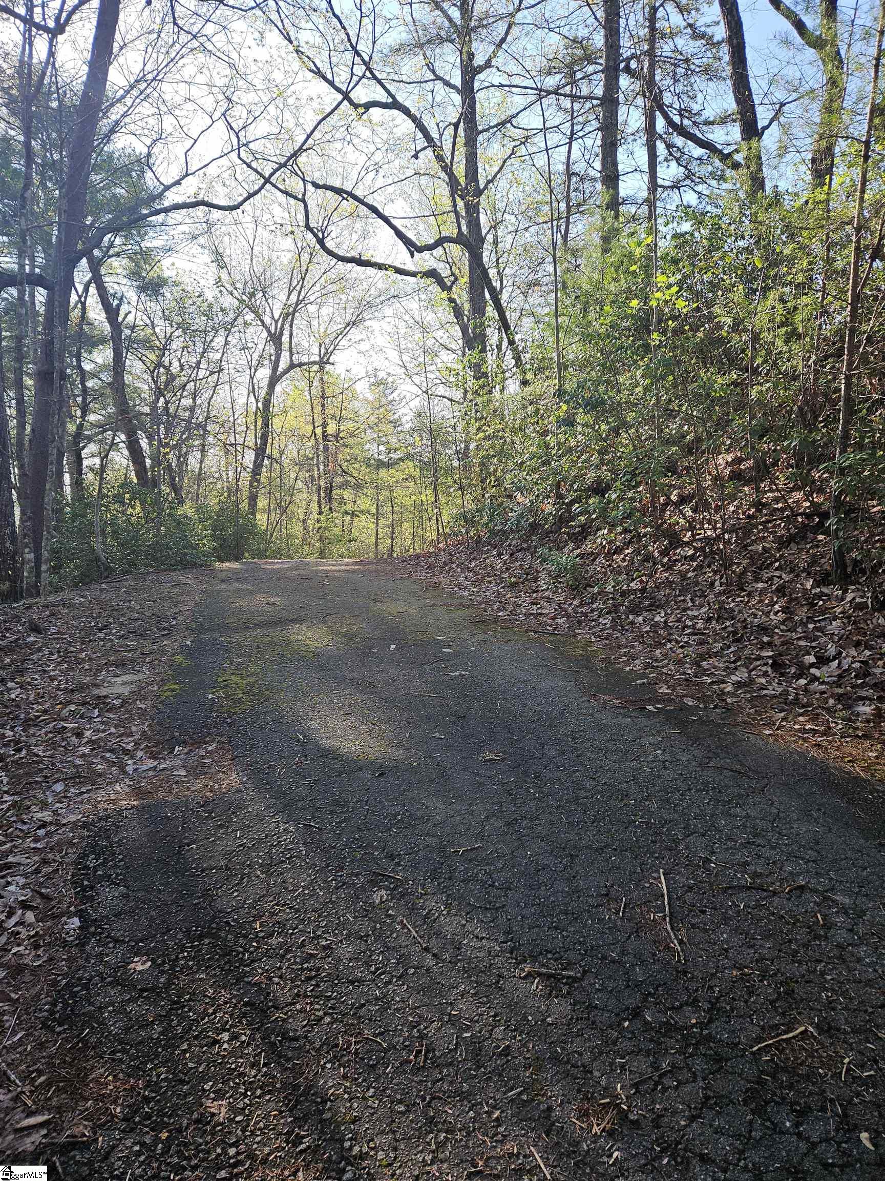139 Whispering Falls Drive Pickens, SC 29671