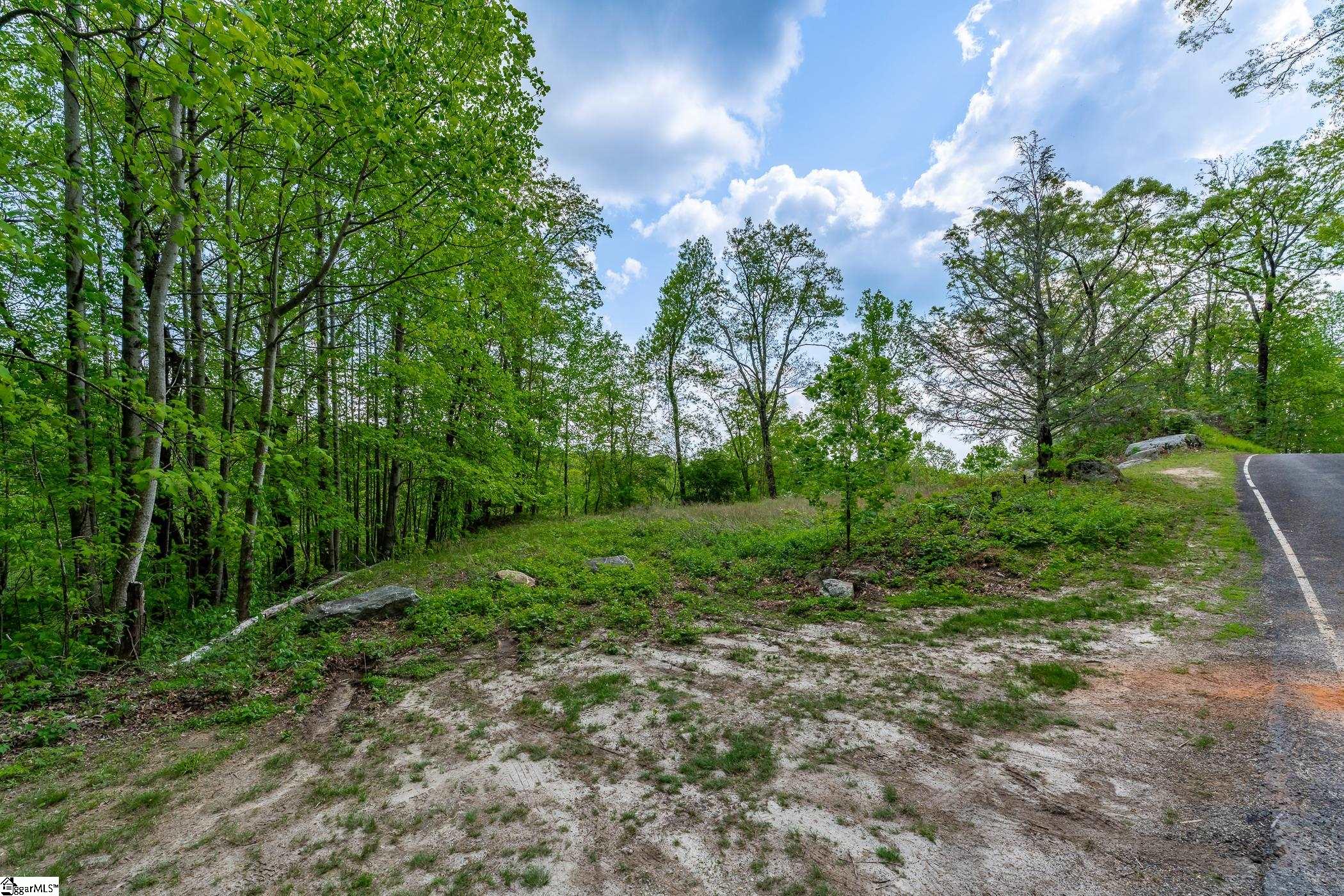 20 Falling Star Way Landrum, SC 29356-3329