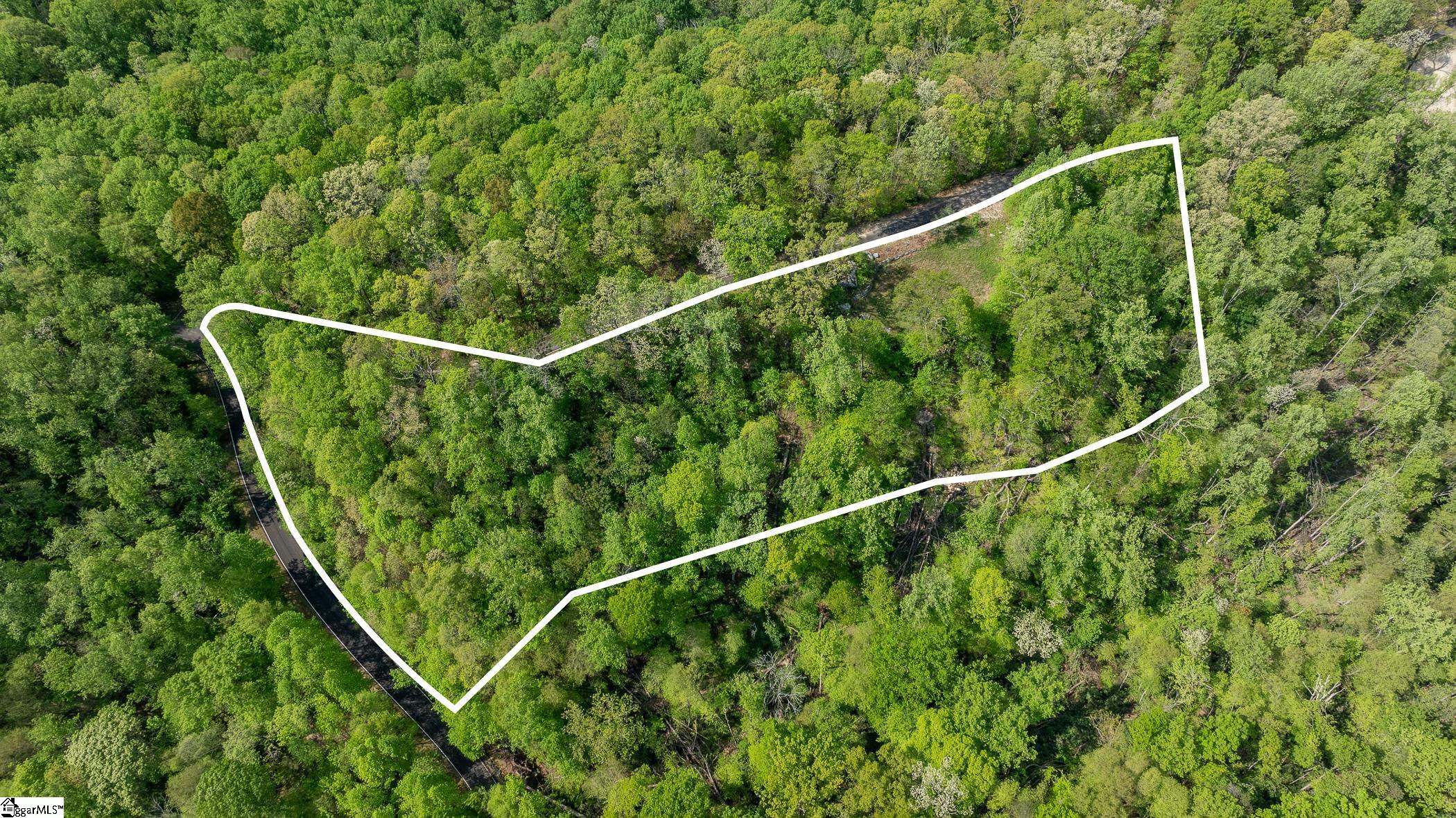 20 Falling Star Way Landrum, SC 29356-3329