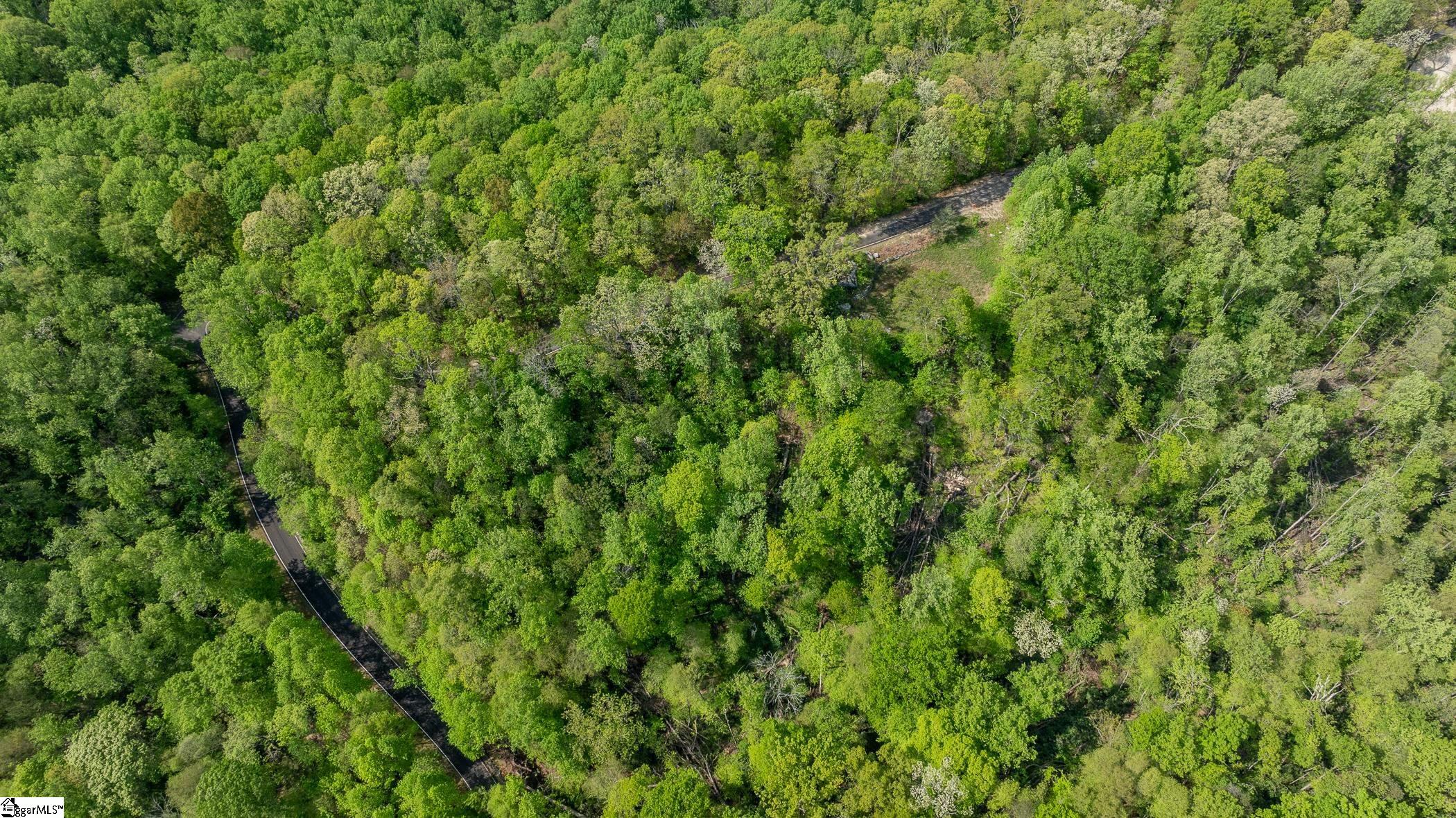 20 Falling Star Way Landrum, SC 29356-3329