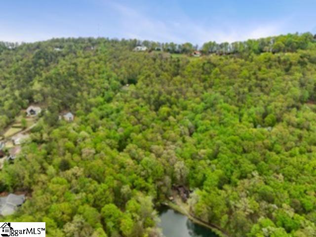 19287 Patrol Club Road Greenville, SC 29609