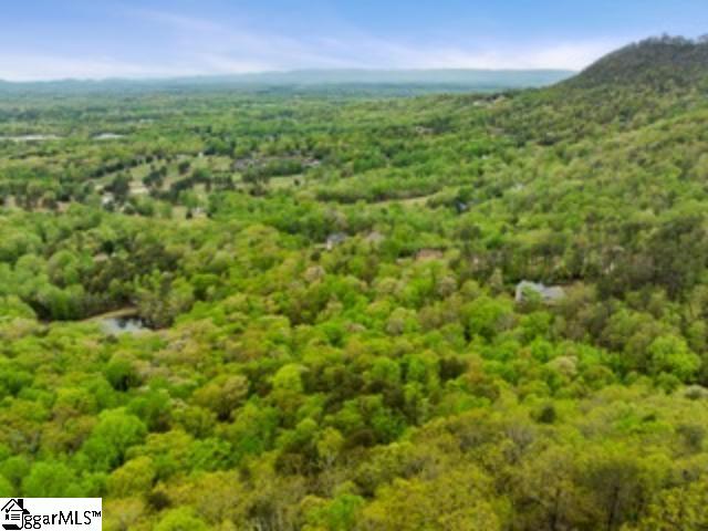 19287 Patrol Club Road Greenville, SC 29609