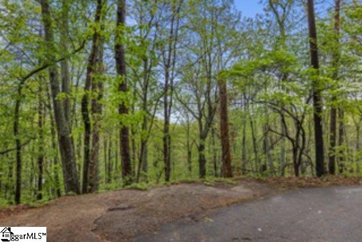 19287 Patrol Club Road Greenville, SC 29609