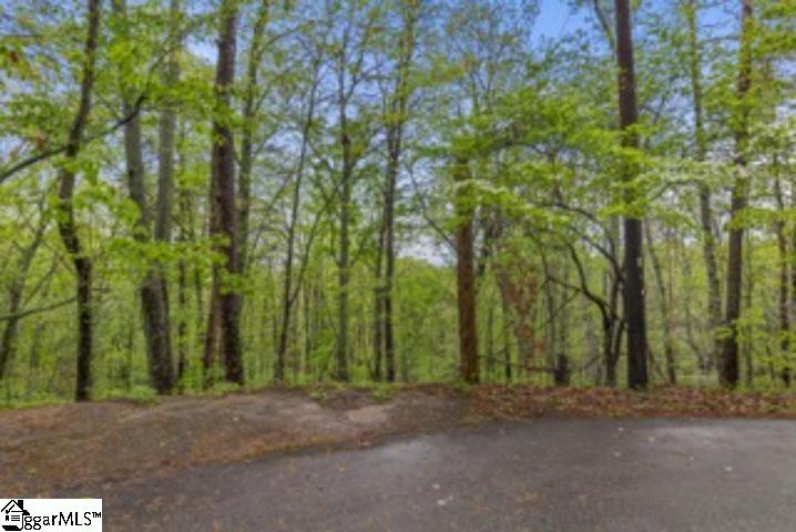 19287 Patrol Club Road Greenville, SC 29609
