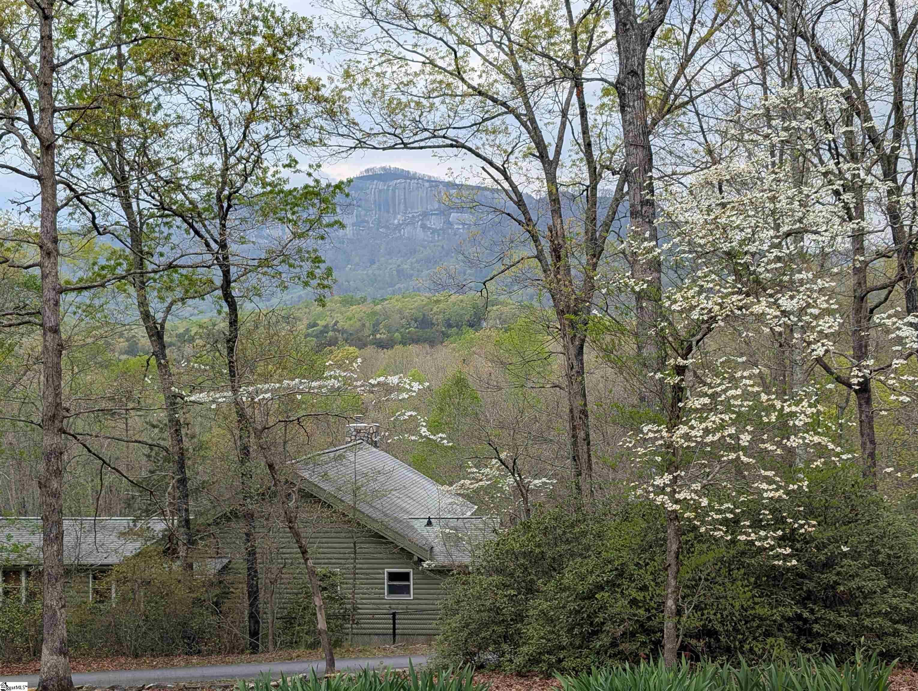 116 Dorothy Lane Pickens, SC 29671