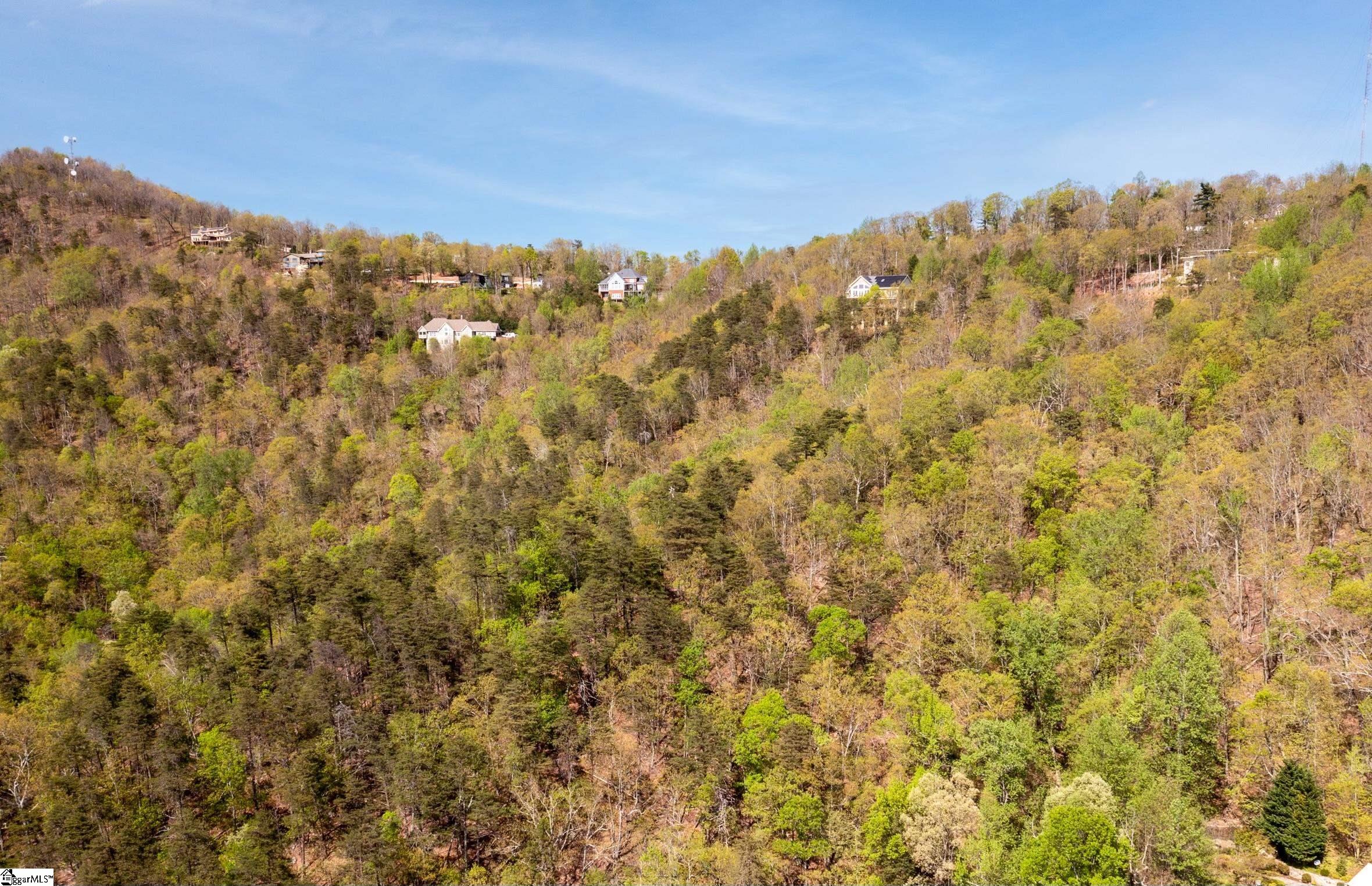 Laurel Ridge Road Greenville, SC 29609