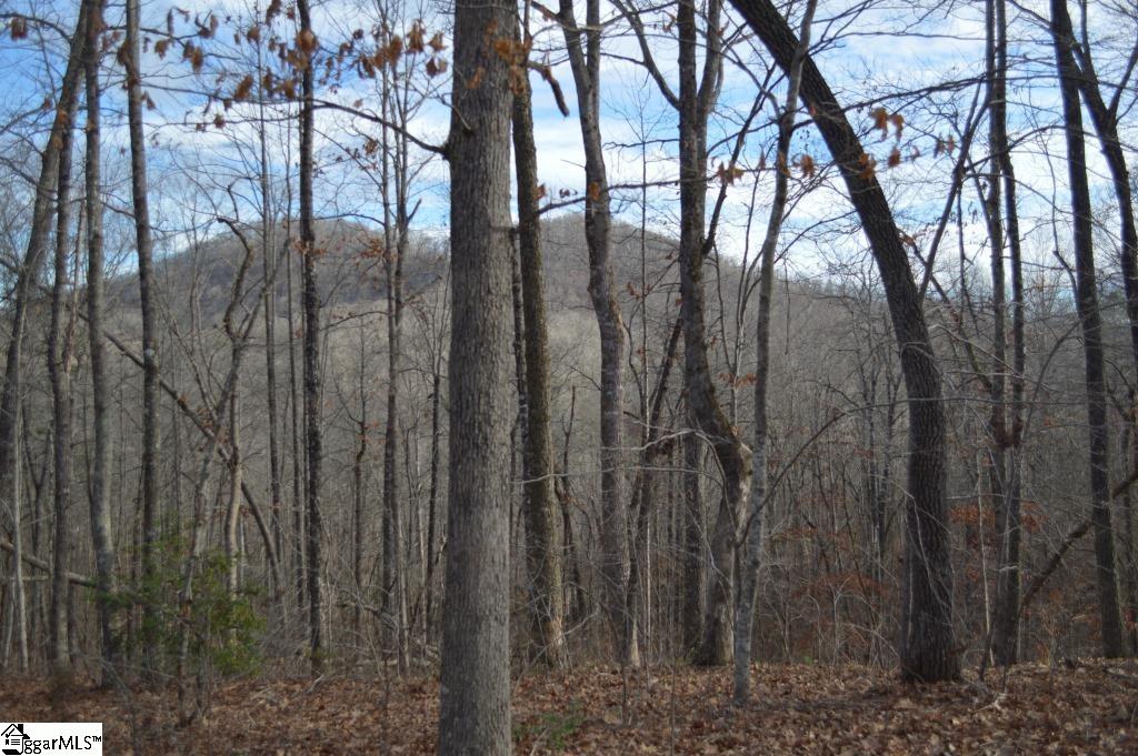 220 Serenity Drive Pickens, SC 29671