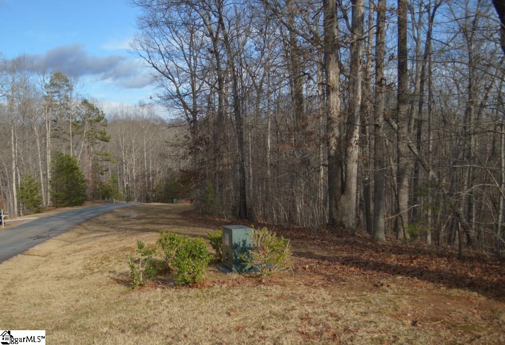 220 Serenity Drive Pickens, SC 29671