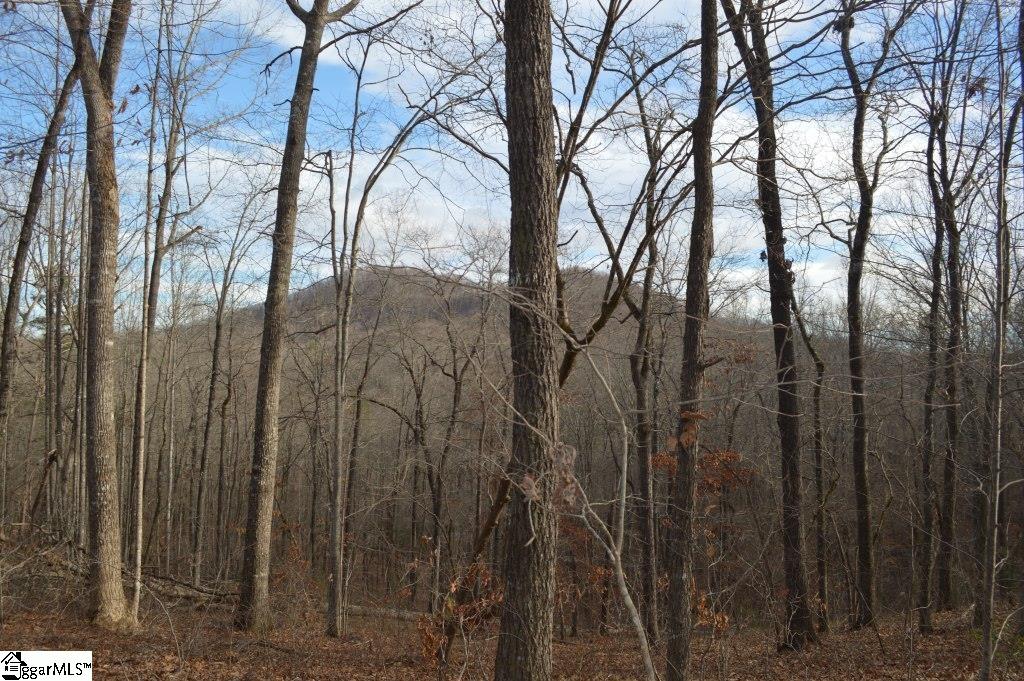 220 Serenity Drive Pickens, SC 29671