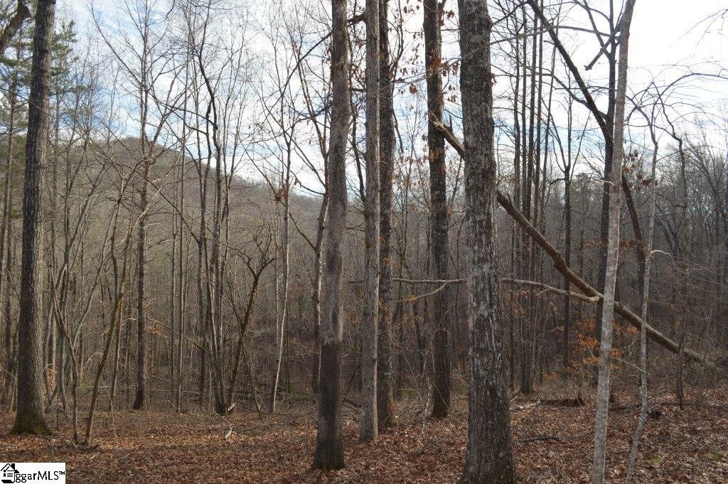 220 Serenity Drive Pickens, SC 29671