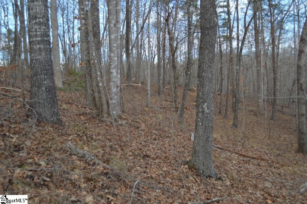 220 Serenity Drive Pickens, SC 29671