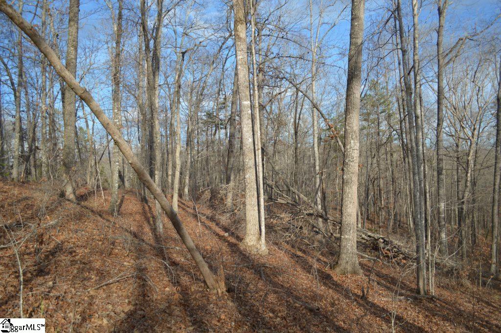 220 Serenity Drive Pickens, SC 29671