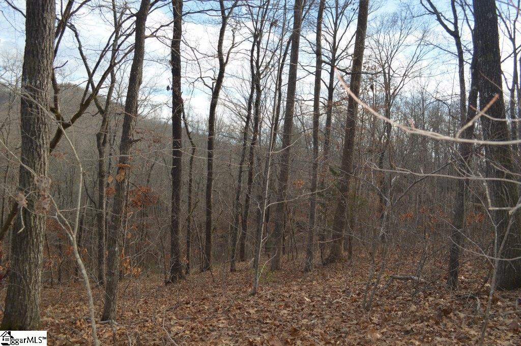 220 Serenity Drive Pickens, SC 29671