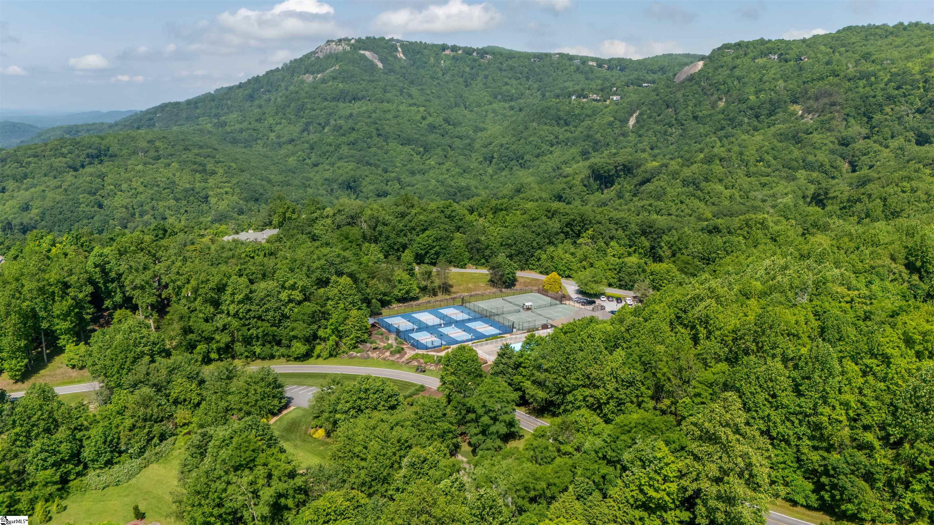 8 Rustic Court Landrum, SC 29356