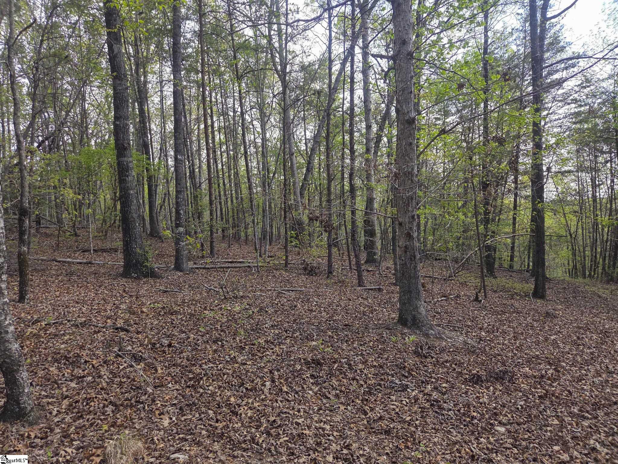 Pumpkintown Hwy 8 Pickens, SC 29671