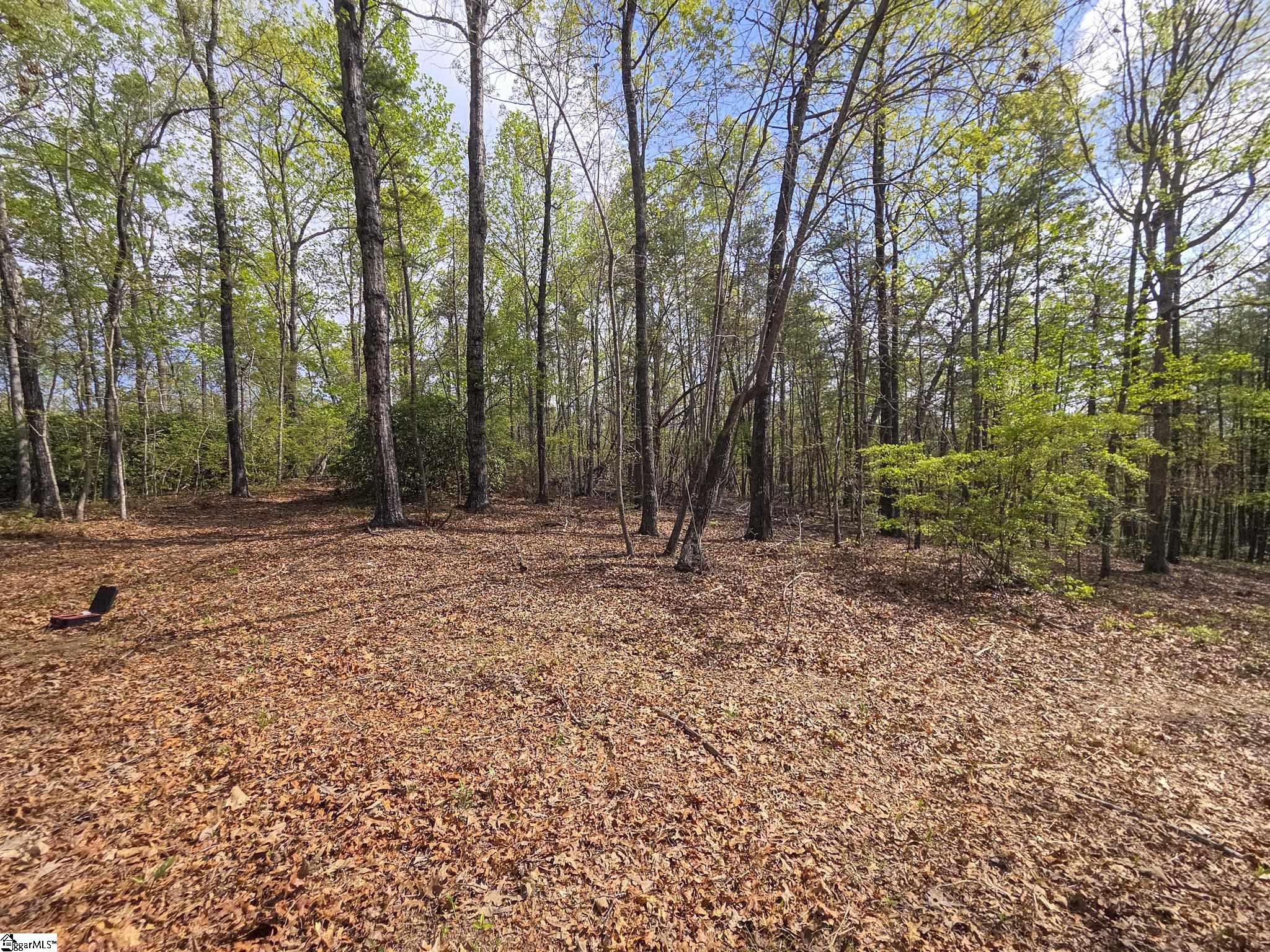 Pumpkintown Hwy 8 Pickens, SC 29671