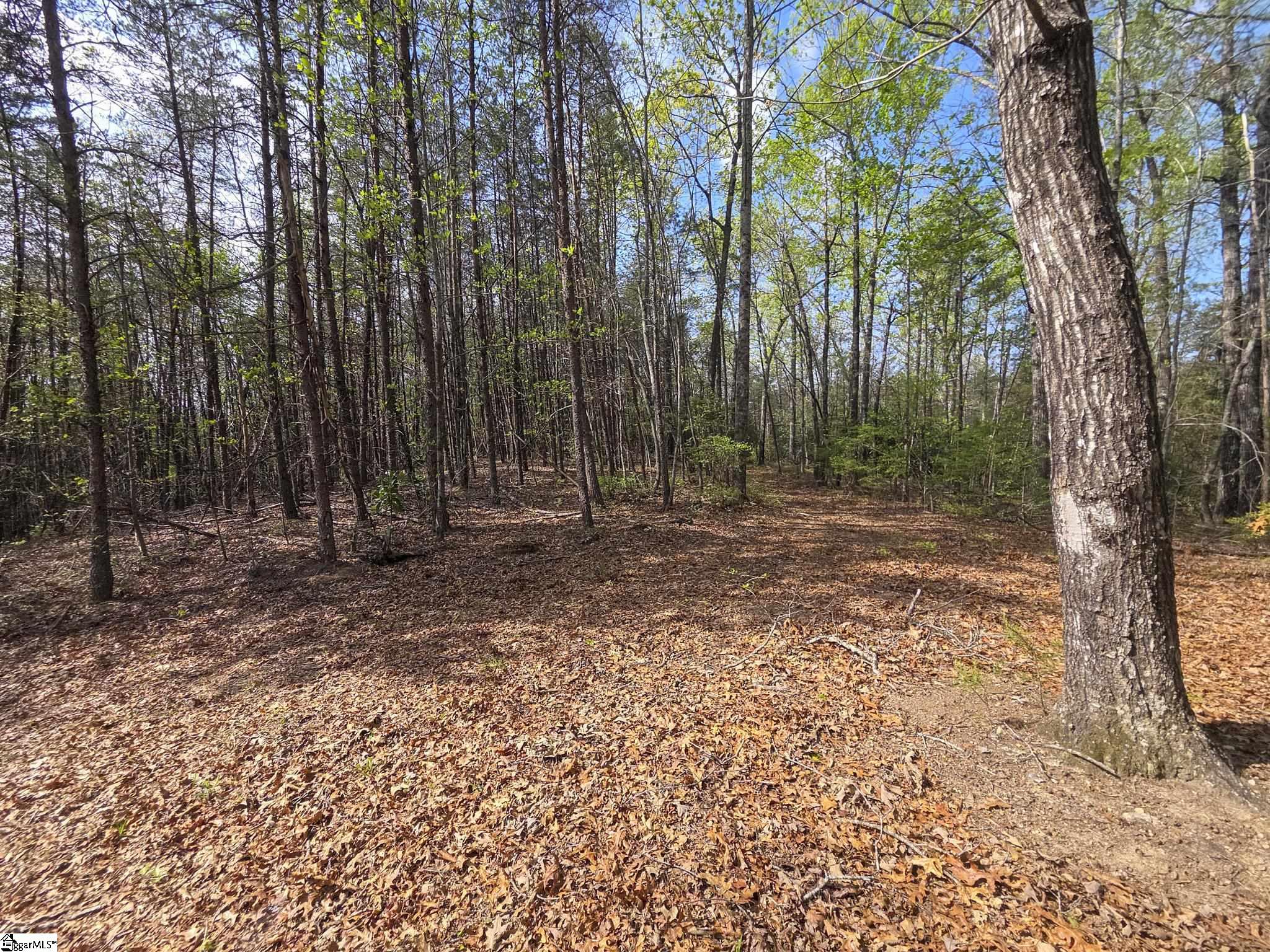 Pumpkintown Hwy 8 Pickens, SC 29671