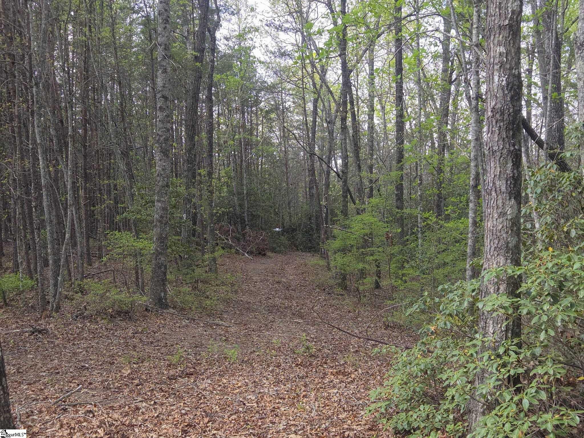 Pumpkintown Hwy 8 Pickens, SC 29671