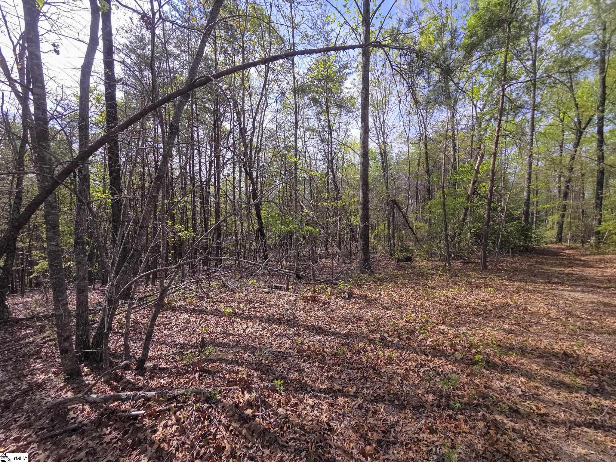 Pumpkintown Hwy 8 Pickens, SC 29671