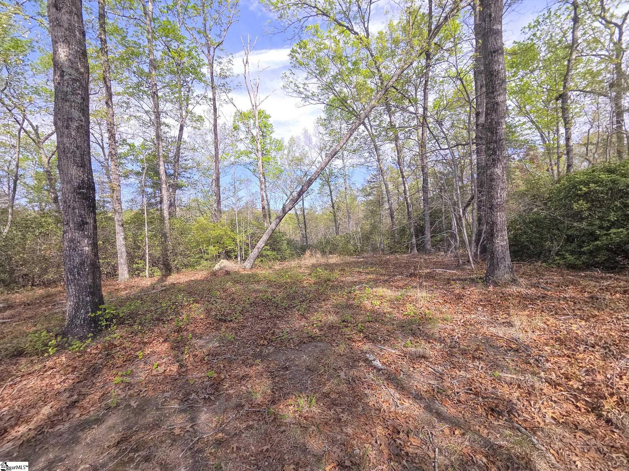 Pumpkintown Hwy 8 Pickens, SC 29671