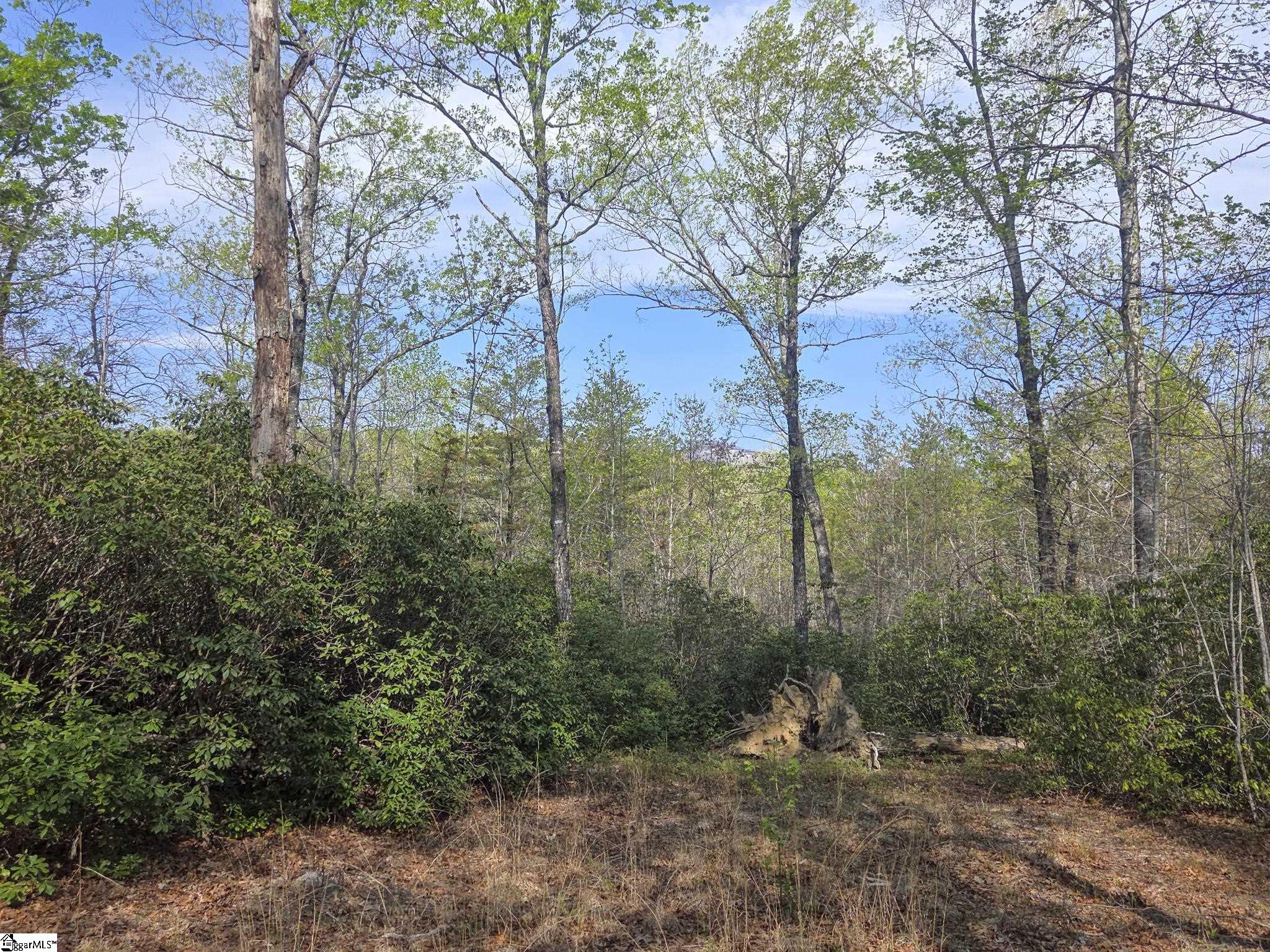 Pumpkintown Hwy 8 Pickens, SC 29671