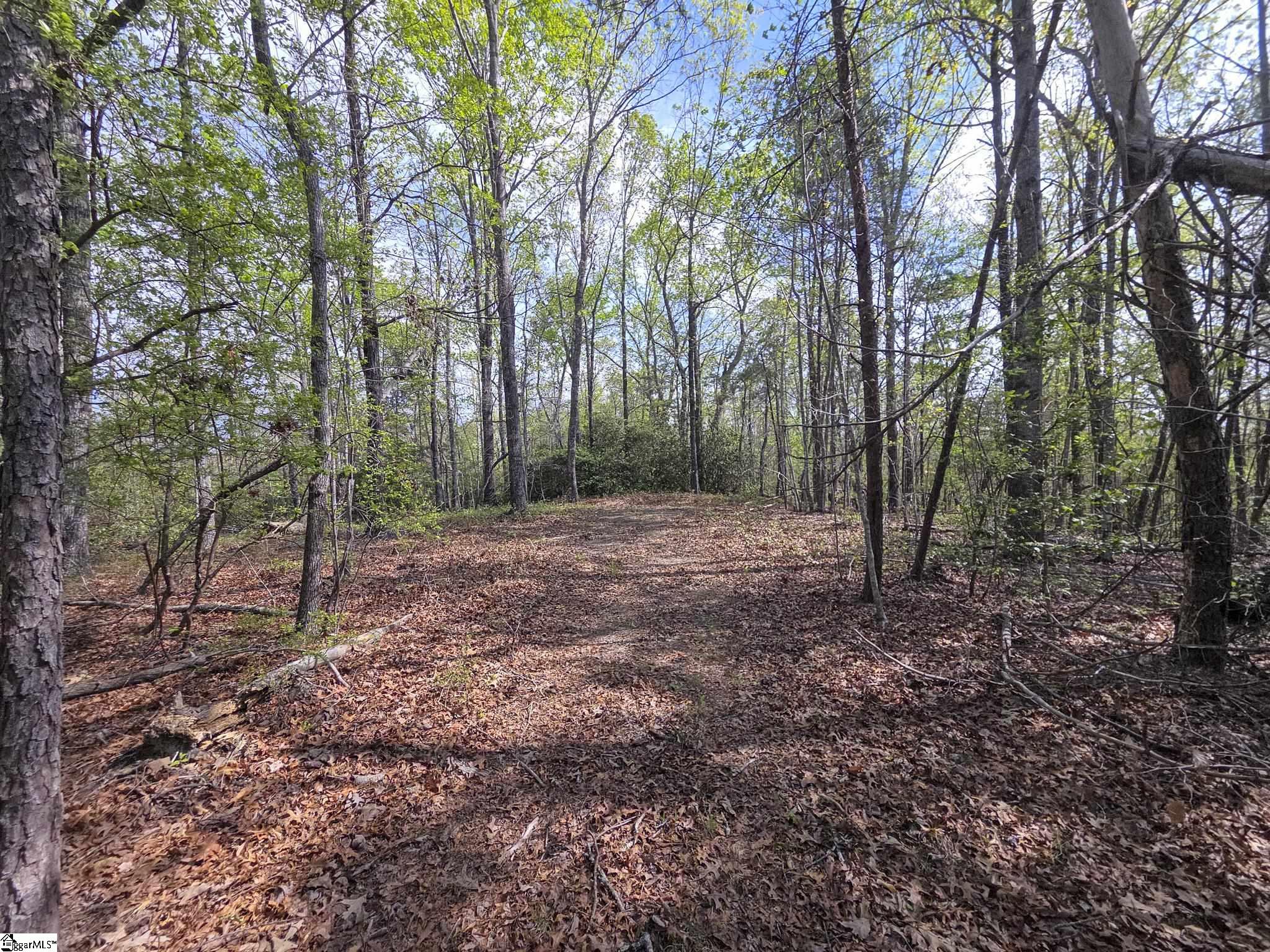 Pumpkintown Hwy 8 Pickens, SC 29671