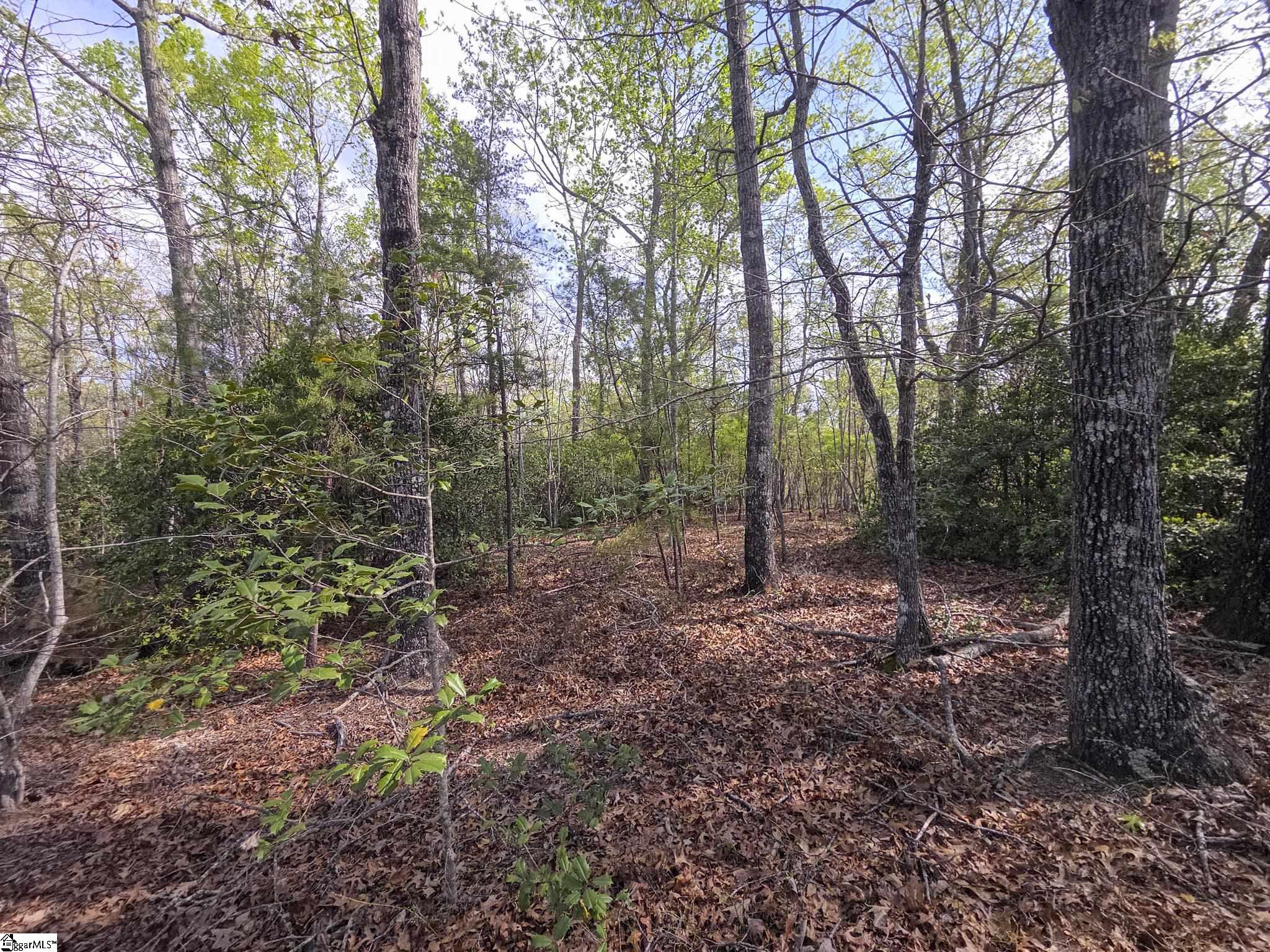 Pumpkintown Hwy 8 Pickens, SC 29671