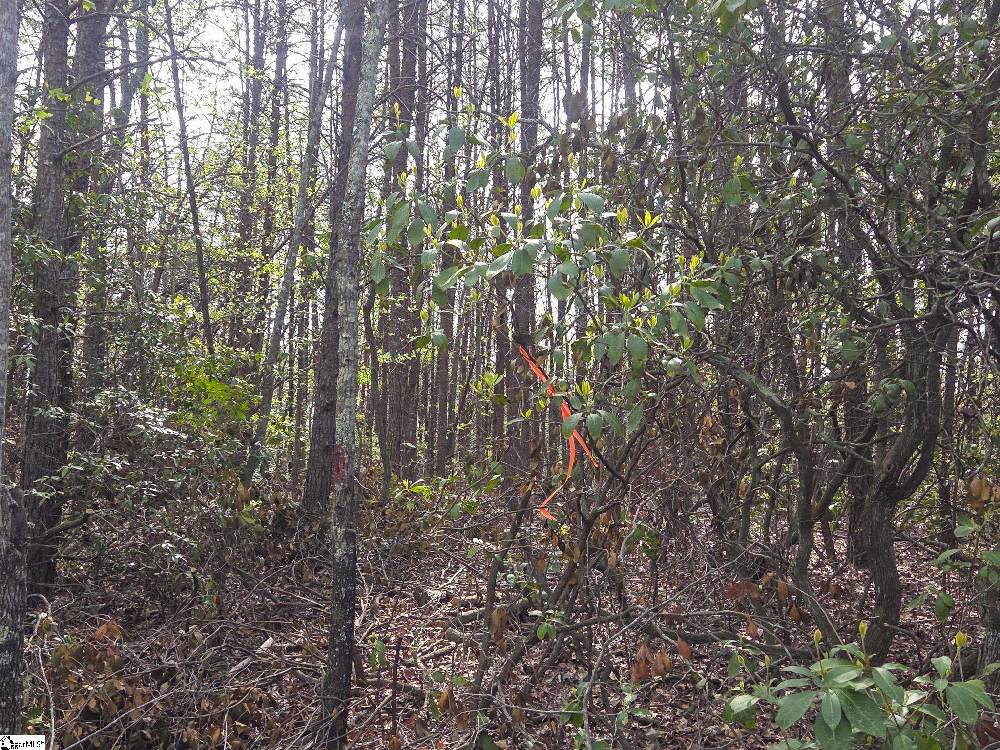 Pumpkintown Hwy 8 Pickens, SC 29671