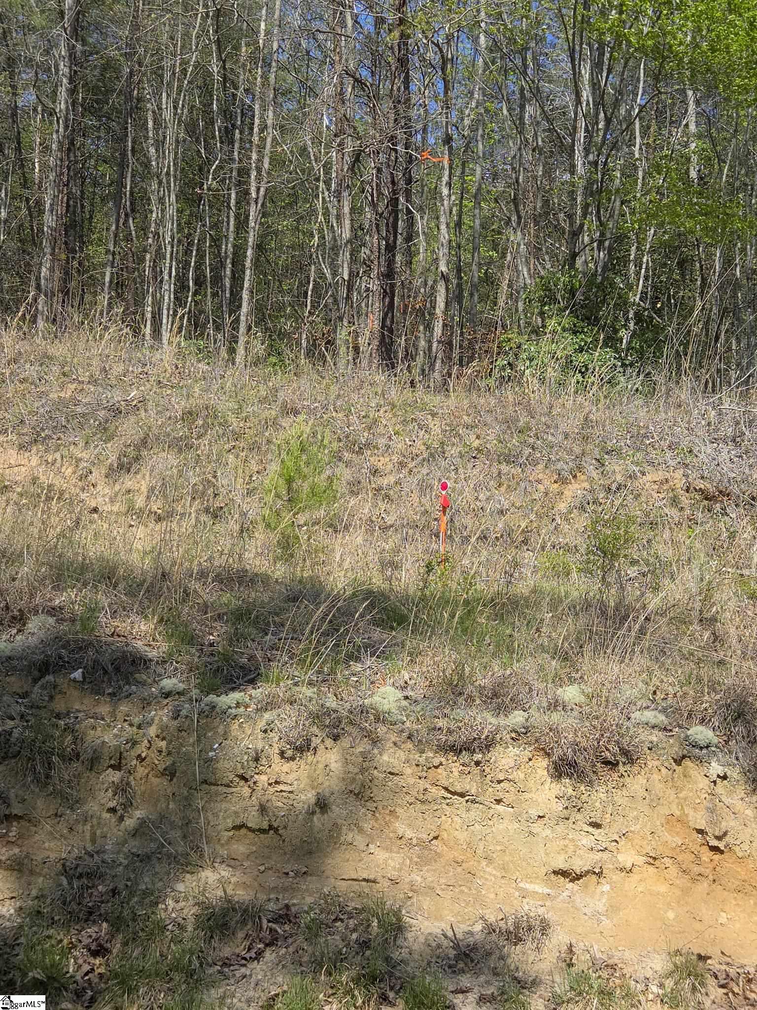 Pumpkintown Hwy 8 Pickens, SC 29671