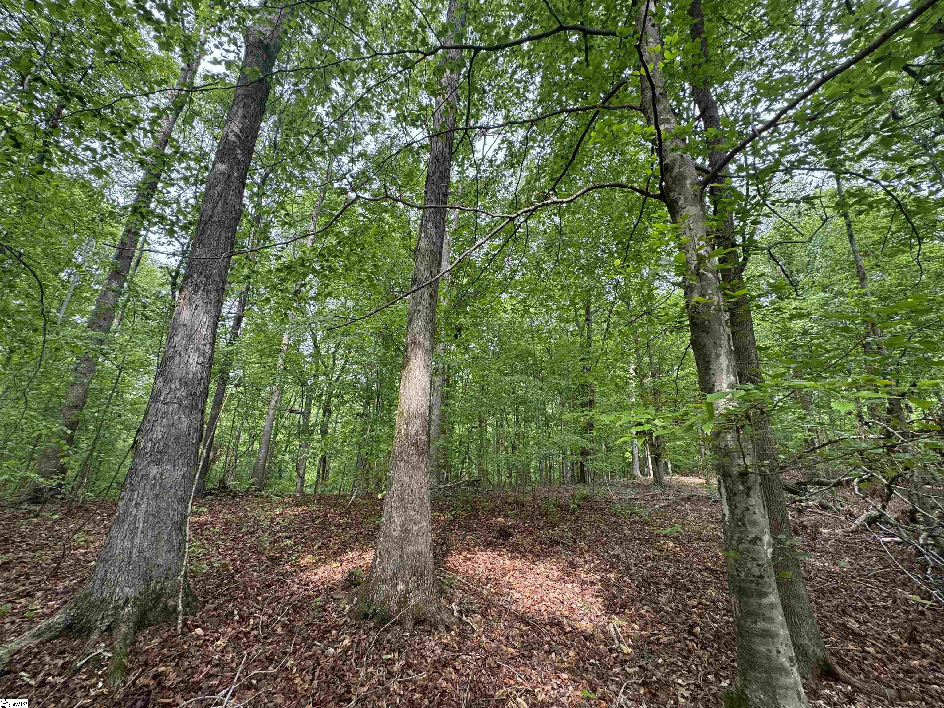 1220 Watson Road Enoree, SC 29335